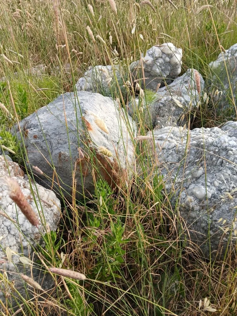 Volterra22.jpg