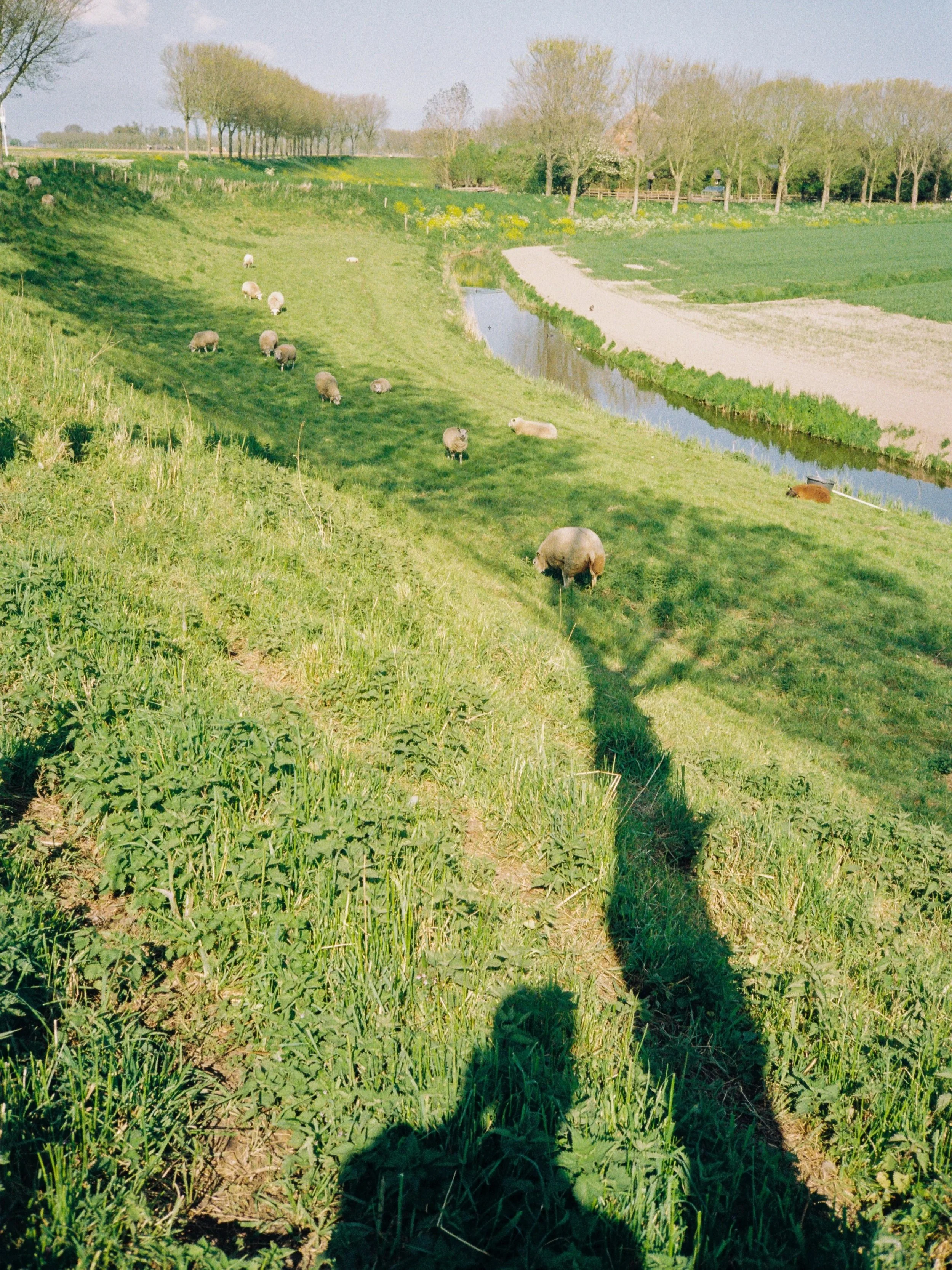 R1-01229-0035.jpg