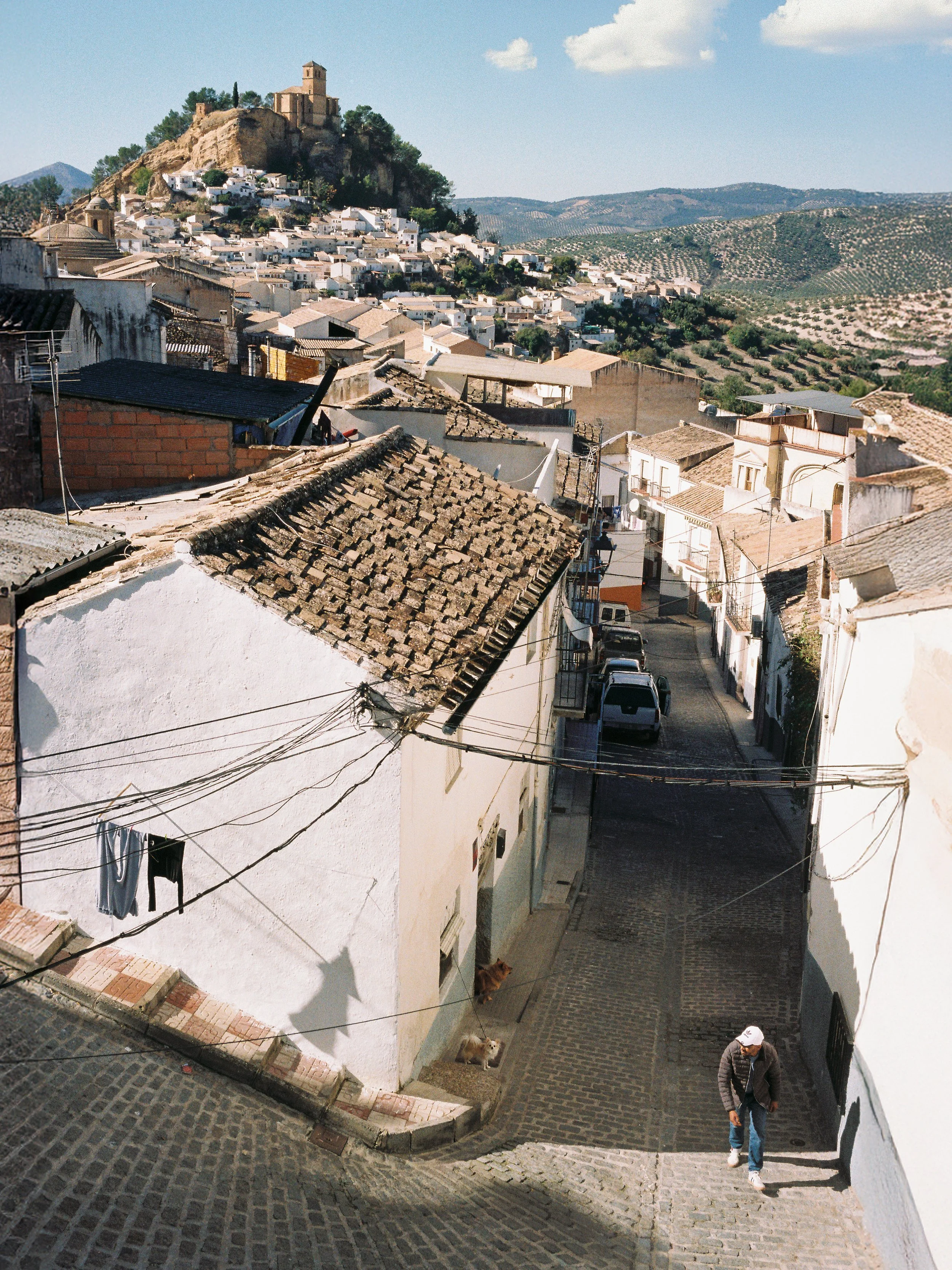 LQ-11-3.jpg