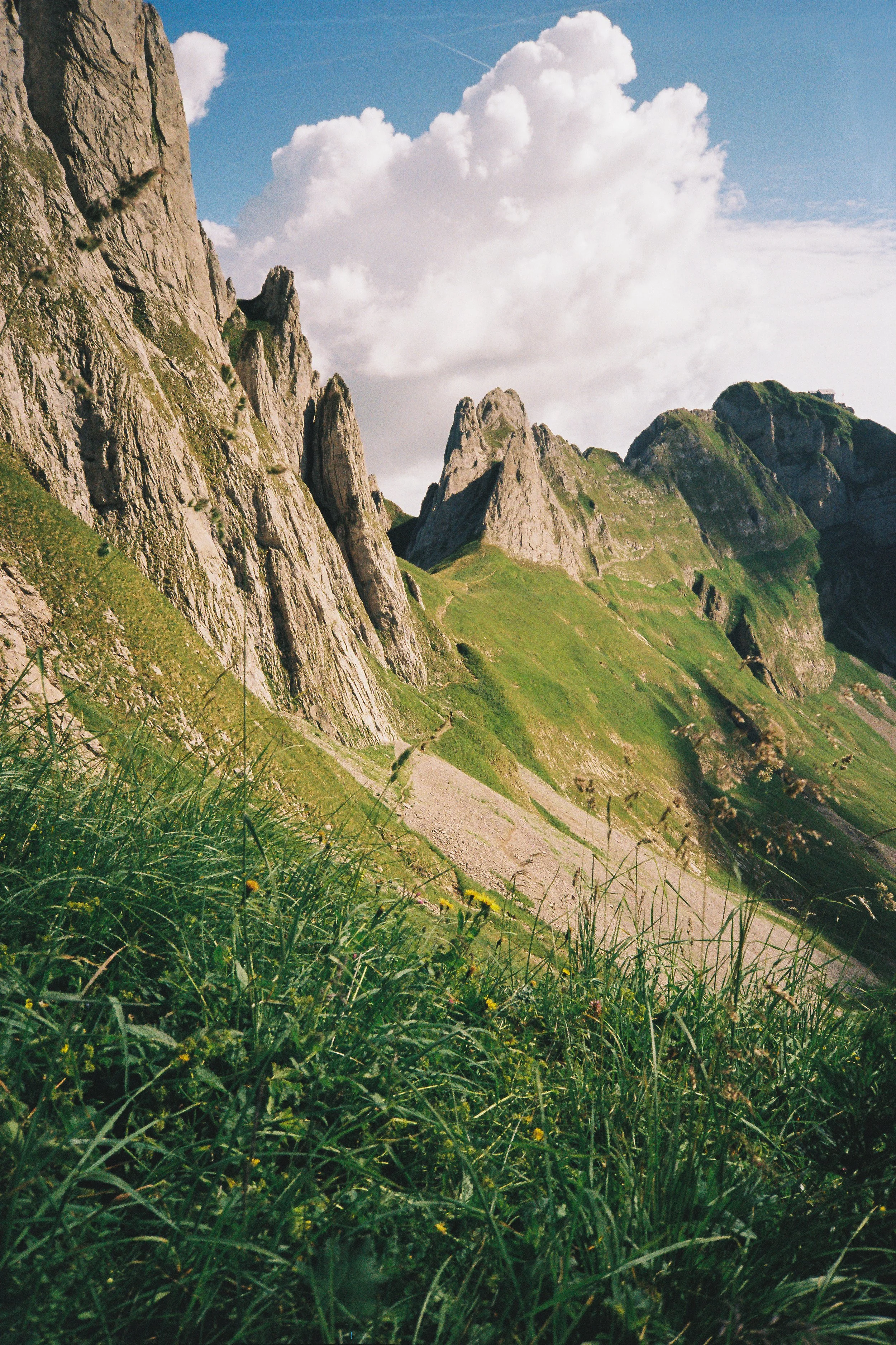 LQ-26.jpg