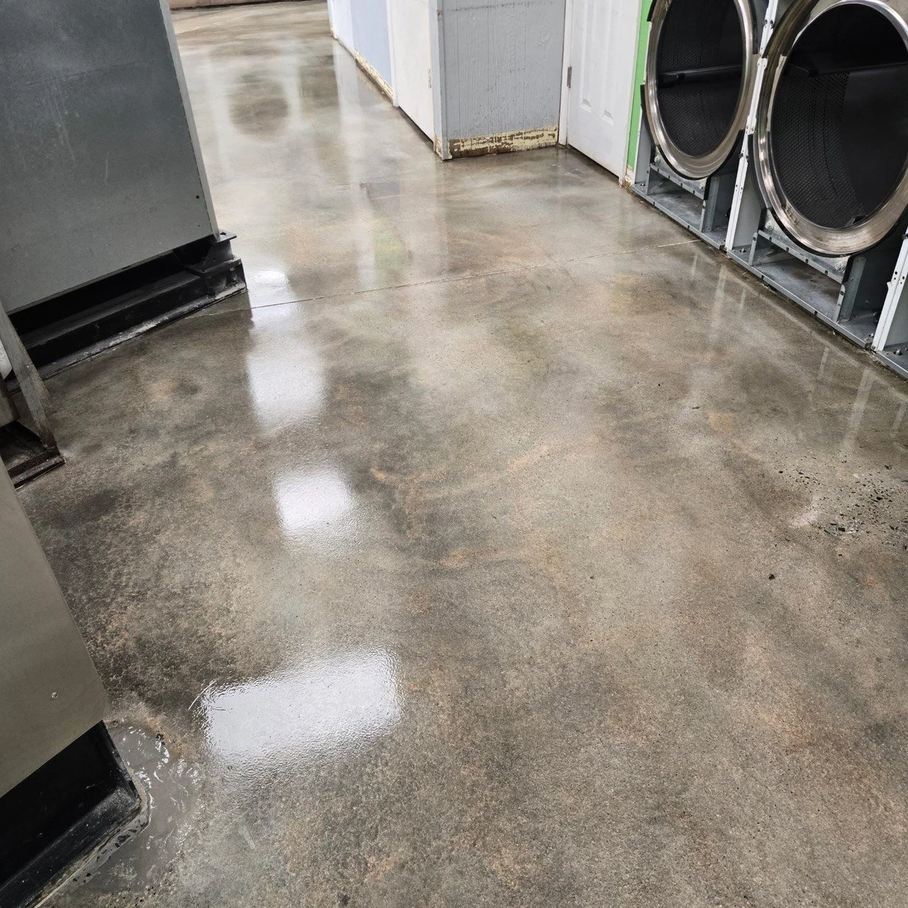 Wet concrete floor in a laundromat with washers and dryers along the wall.