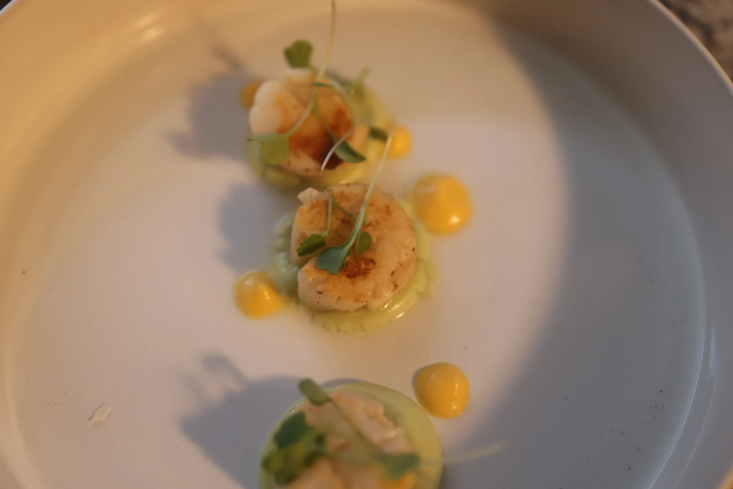 Tasting menu 8 courses
