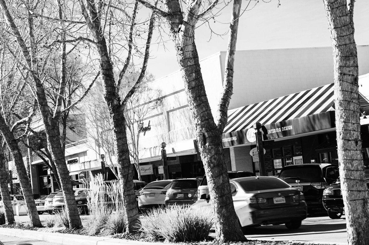 Black and white photo of a shopping plaza with parked cars and storefronts, lined with leafless trees in the foreground.