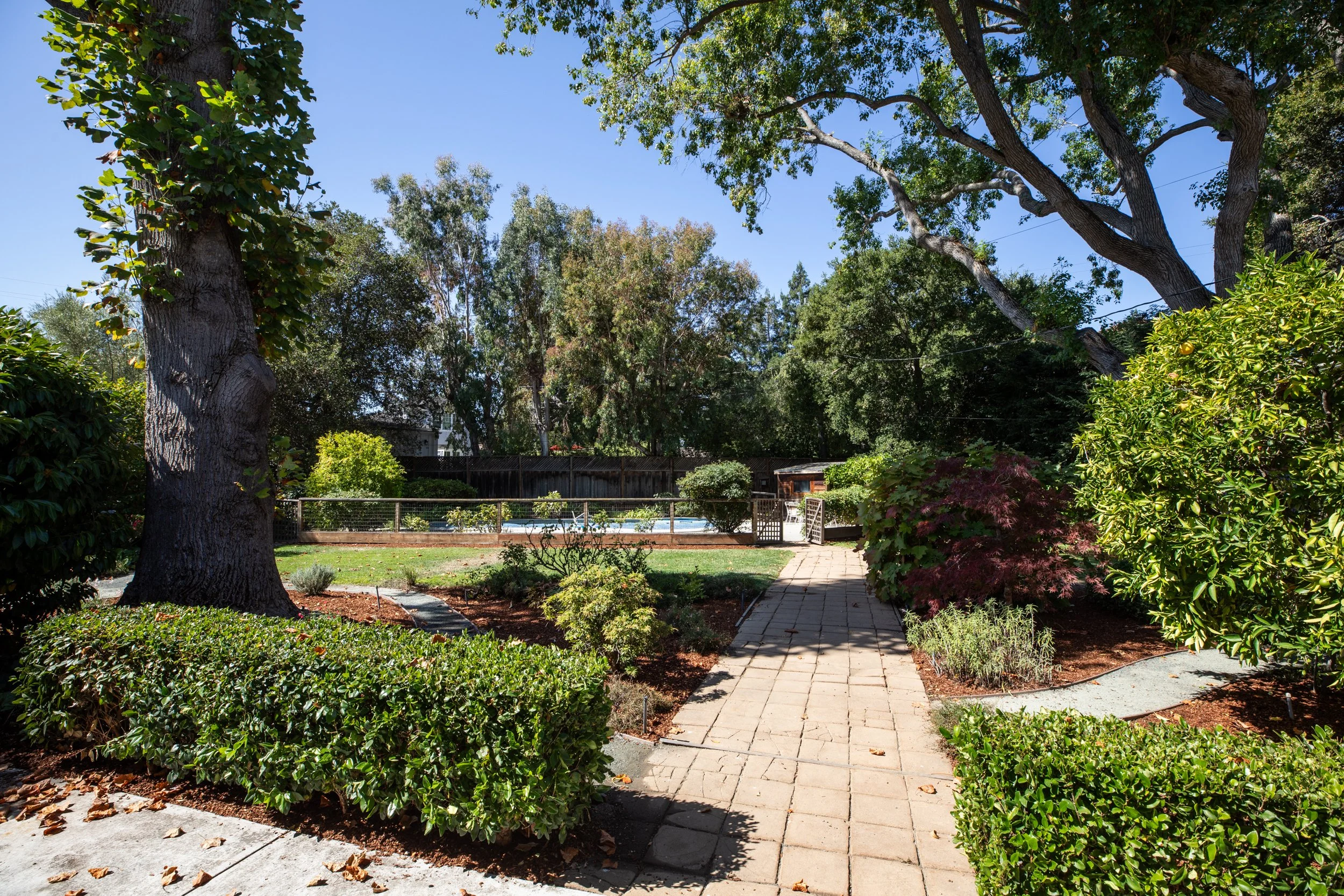 A backyard garden with a paved walkway leading to a fenced swimming pool area, surrounded by various trees, shrubs, and plants, under a clear blue sky.