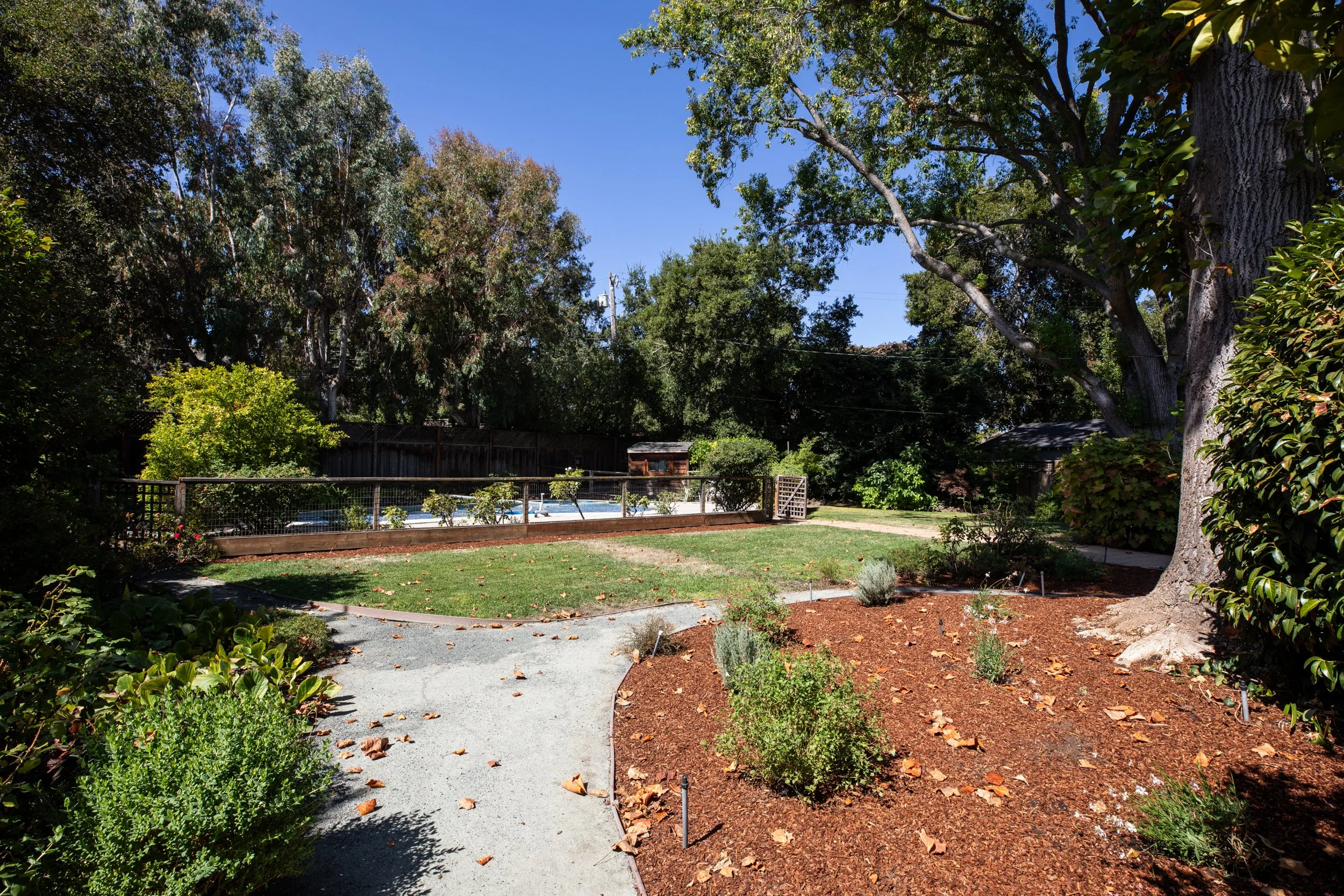 Backyard garden with trees, shrubs, a stone pathway, and a fenced-in pool area under a clear blue sky.