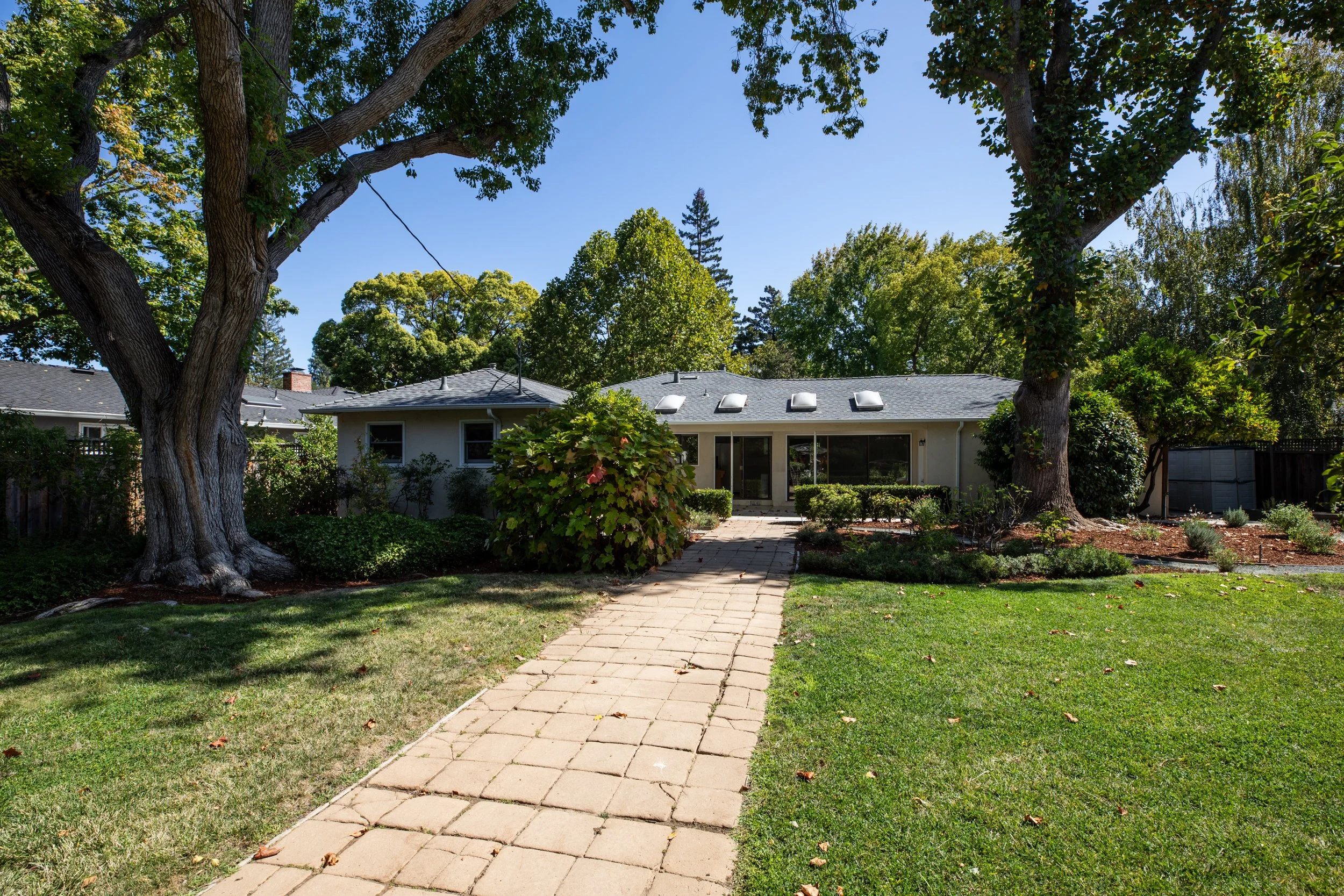 Backyard view with trees, a paved walkway, and a house with a gray roof and skylights.
