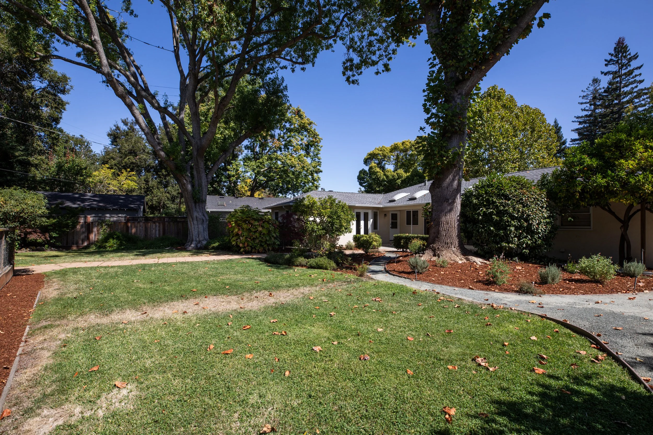 A backyard with a green lawn, large trees, and a single-story house with a boat-shaped roof. There is a curved pathway in the garden, surrounded by a small border of plants, and a wooden fence in the background. The sky is clear and blue.