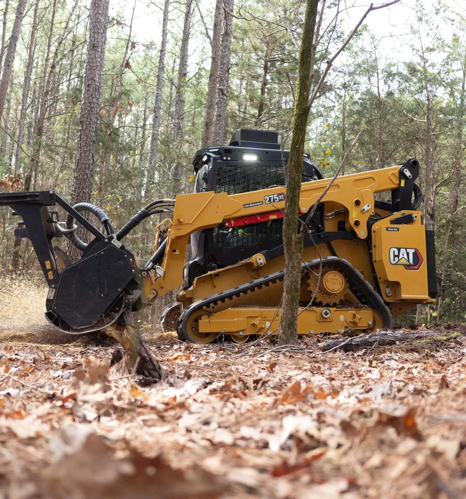 A yellow Caterpillar tractor working in a forest, clearing trees and debris, with trees and shrubs in the background.