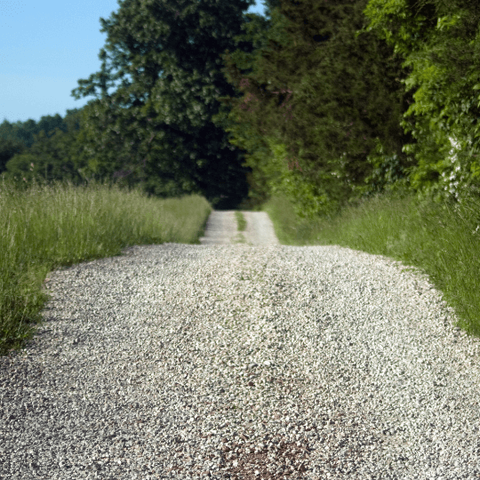 A gravel dirt road extending into the distance, flanked by green grass and trees on both sides under a clear blue sky.