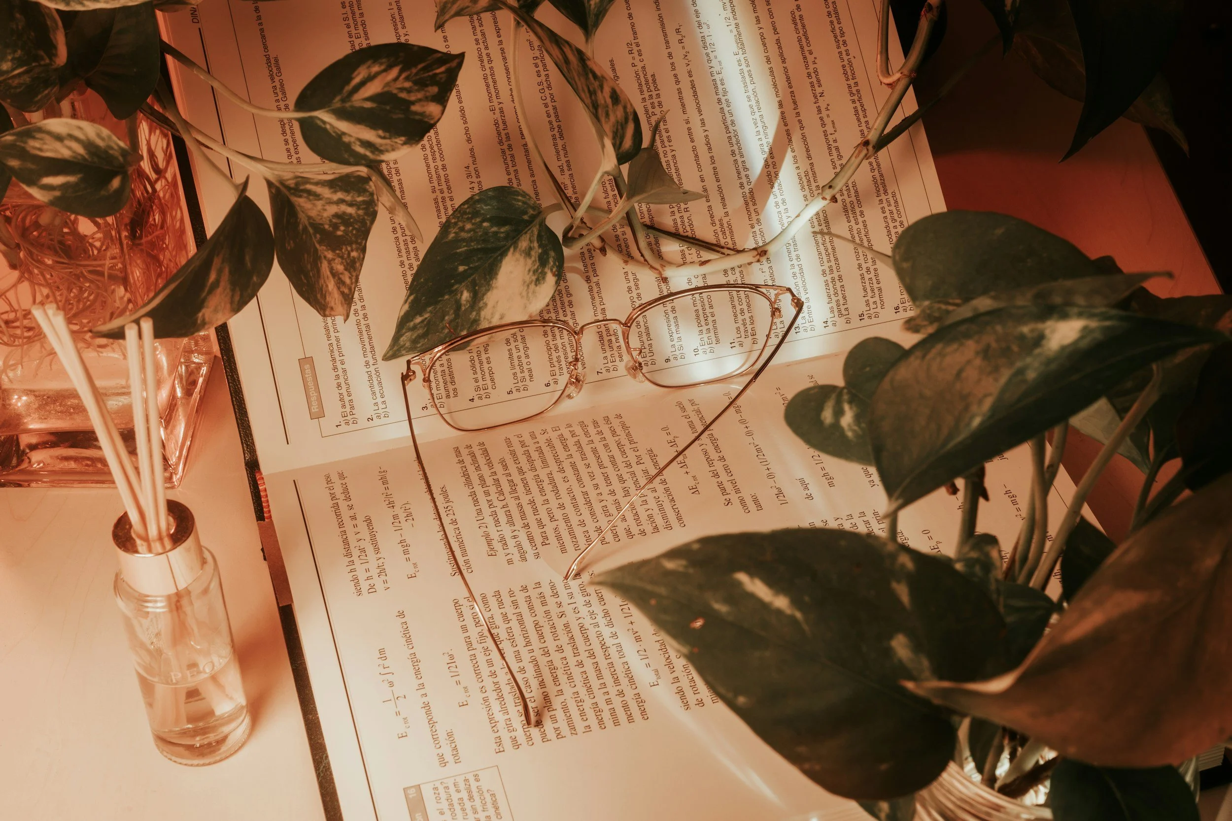Close-up of a striped houseplant on top of a printed document, with a pair of eyeglasses and a small test tube filled with water nearby. The scene appears to be on a pink surface.