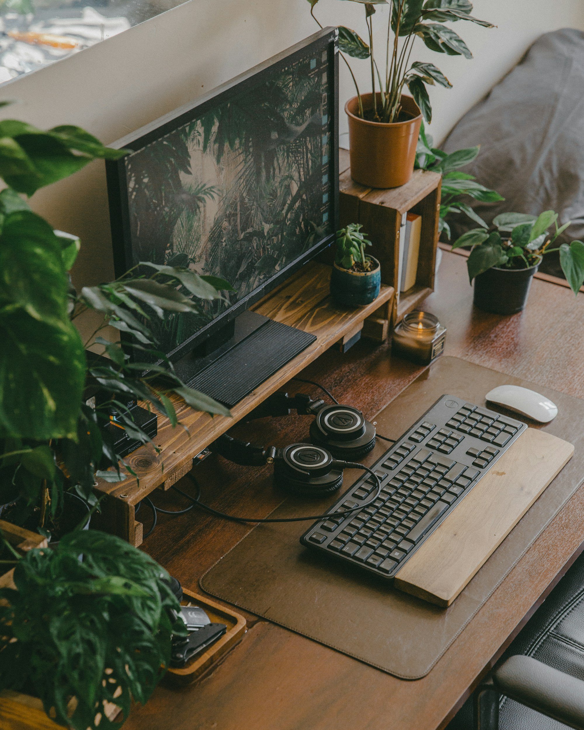 A workspace with a computer monitor, a keyboard, and a mouse on a wooden desk, surrounded by multiple potted plants, including a large leafy plant on the left and smaller plants on a wooden shelf and the desk.