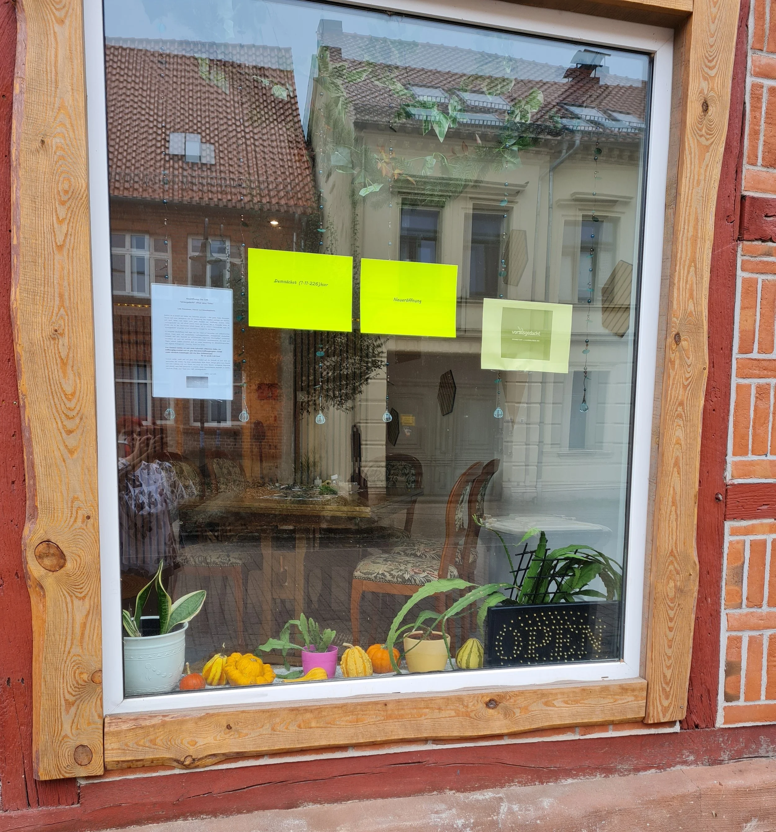 Fenster mit Pflanzen und Kürbissen auf der Fensterbank, gelbe Beschilderung an der Scheibe, an der Wand Holzrahmen, reflektierende Scheiben spiegeln Häuser und Himmel wider.