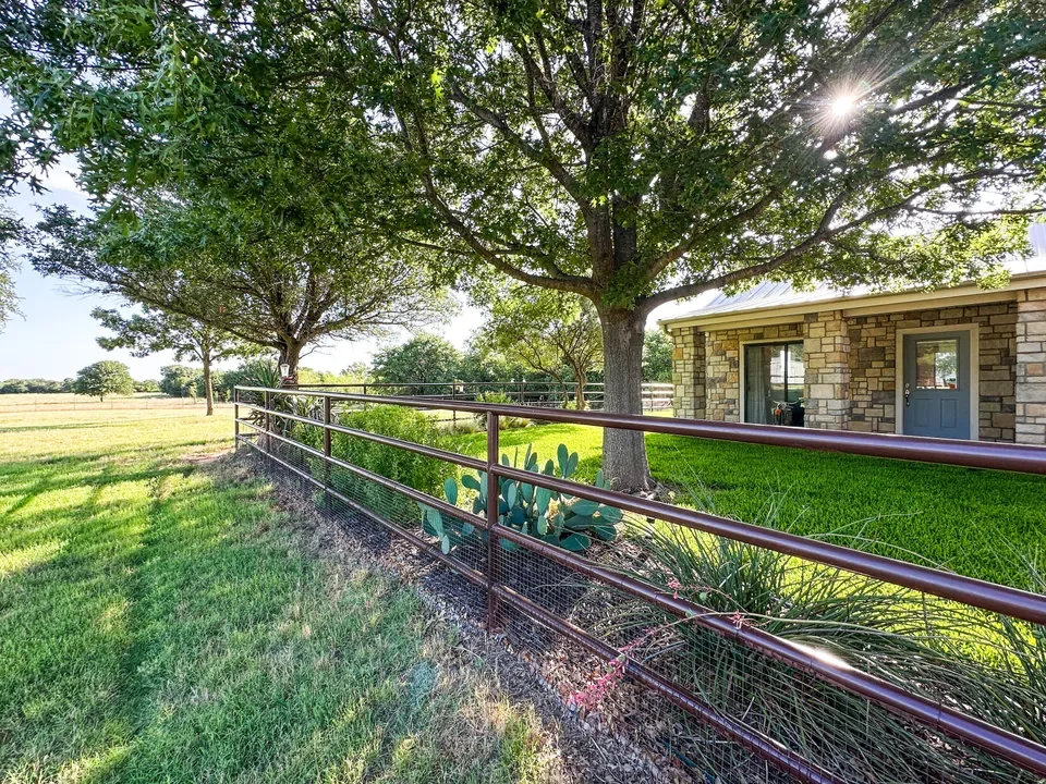 Sunny backyard scene with a large leafy tree beside a stone house, a metal fence running parallel to the house, and cacti plants near the base of the tree, with bright sun shining through the foliage.