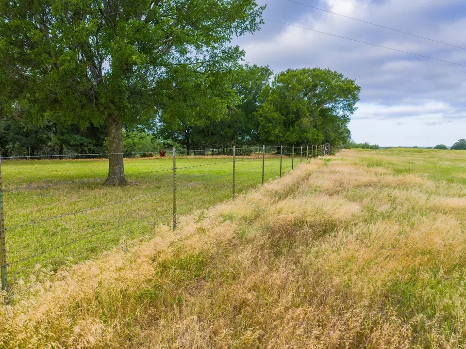 A rural landscape with a barbed wire fence running alongside a grassy field and large leafy trees in the background under a cloudy sky.