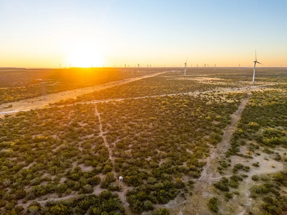 Sunset over a desert landscape with a row of wind turbines, dirt roads crossing the terrain, and sparse green shrubs.