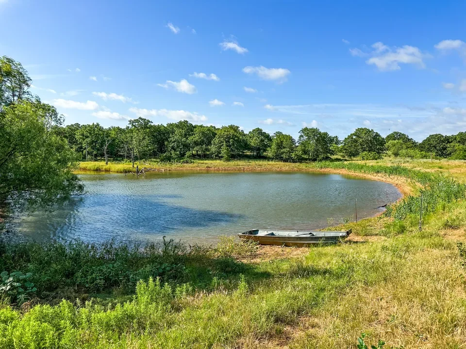 A small boat resting on the grassy edge of a calm pond surrounded by trees under a clear blue sky with a few clouds.