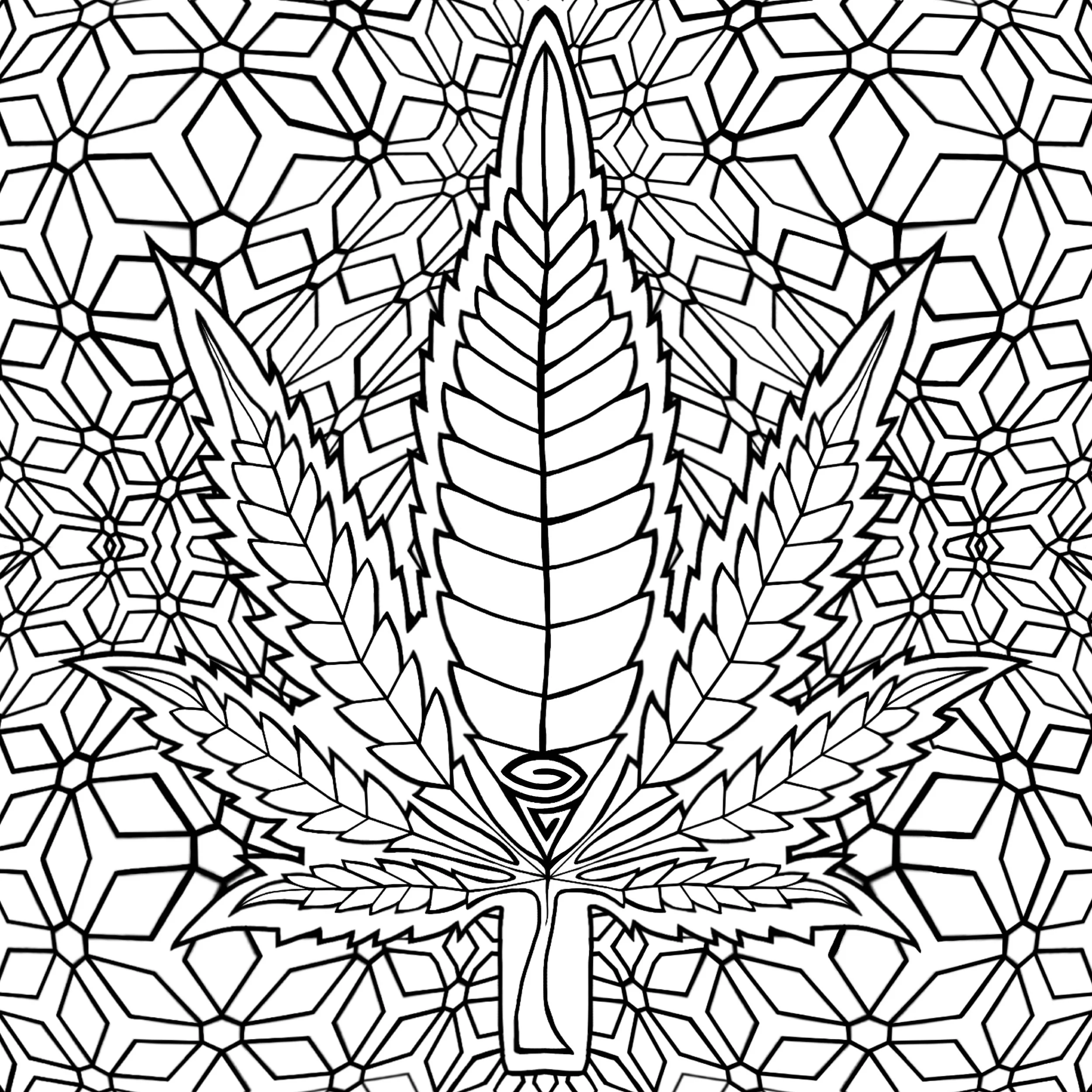 Leaf17.JPG