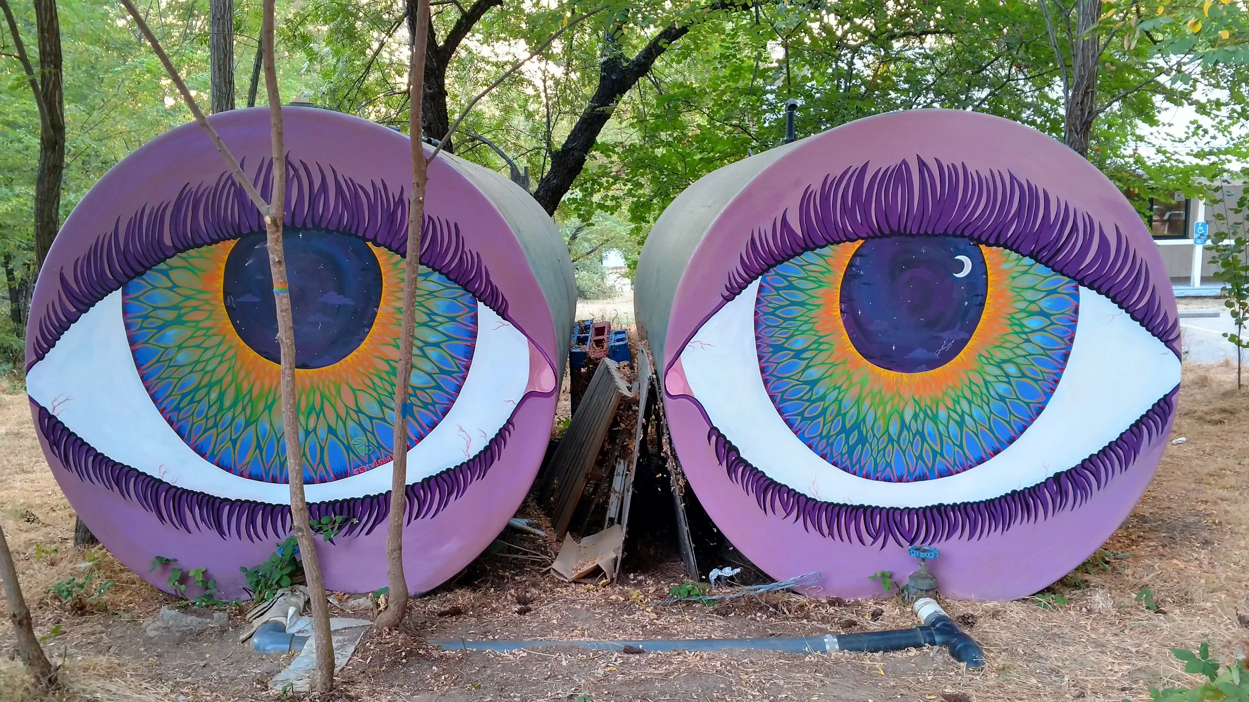 Eyes of NSJ 2017