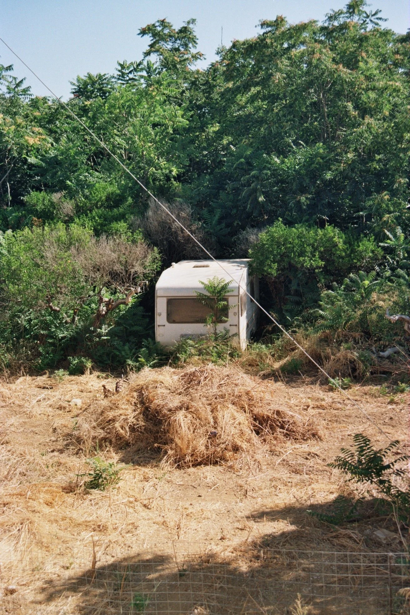 img0036.jpg