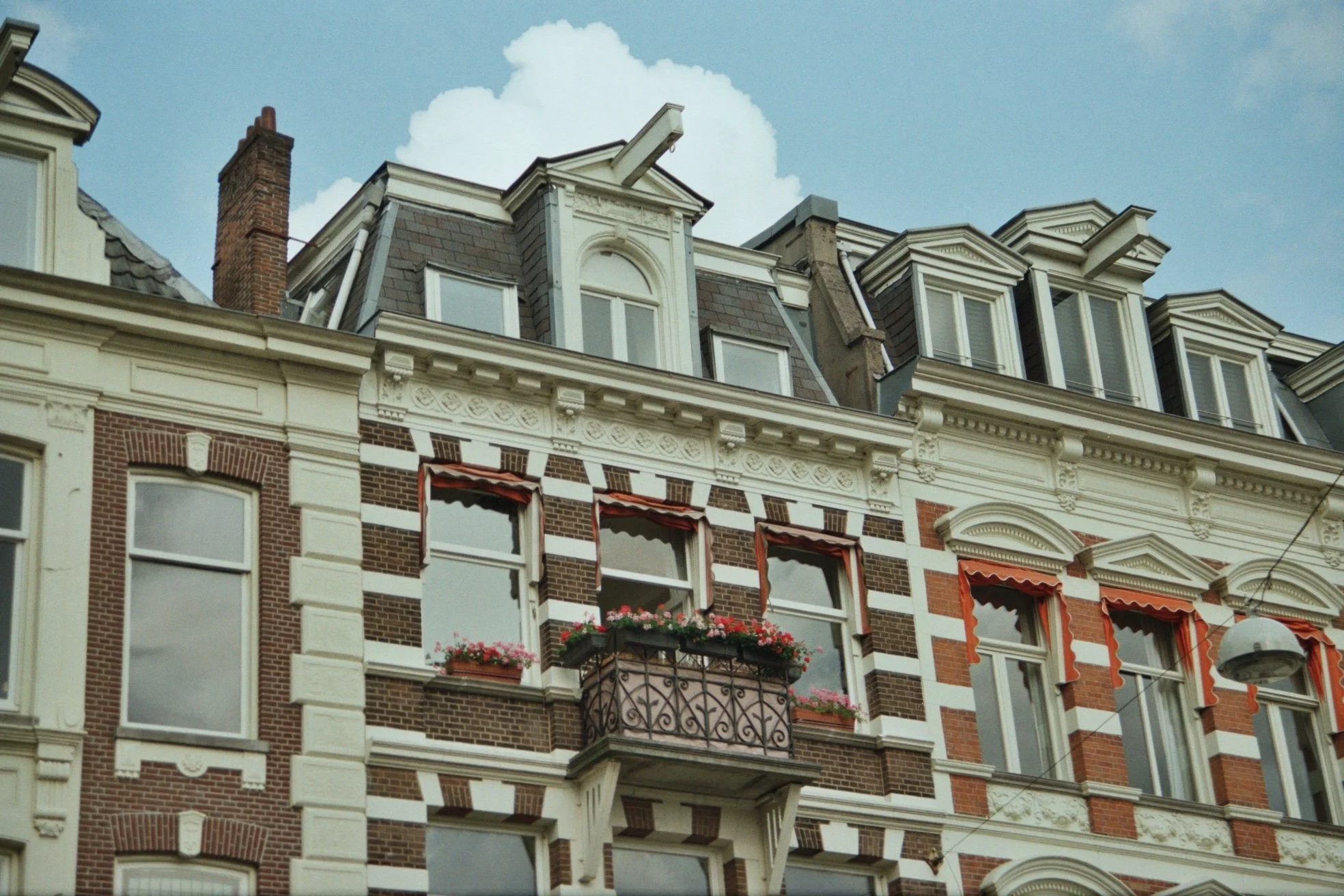 img0006.jpg
