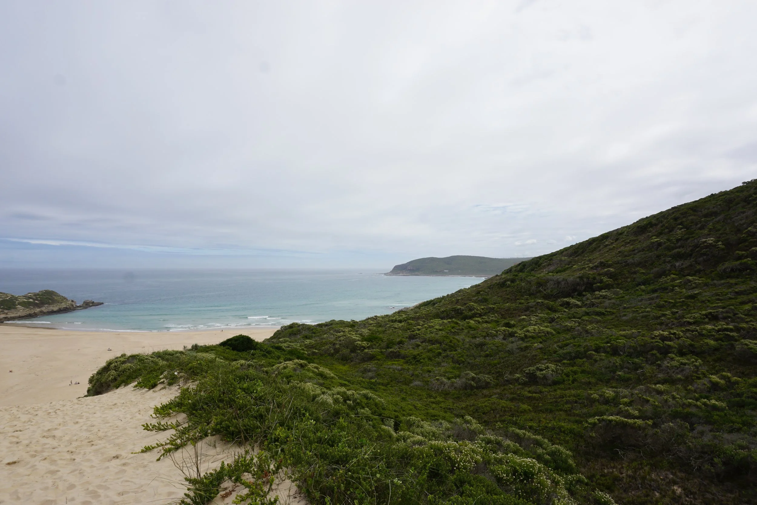 DSC02353.JPG