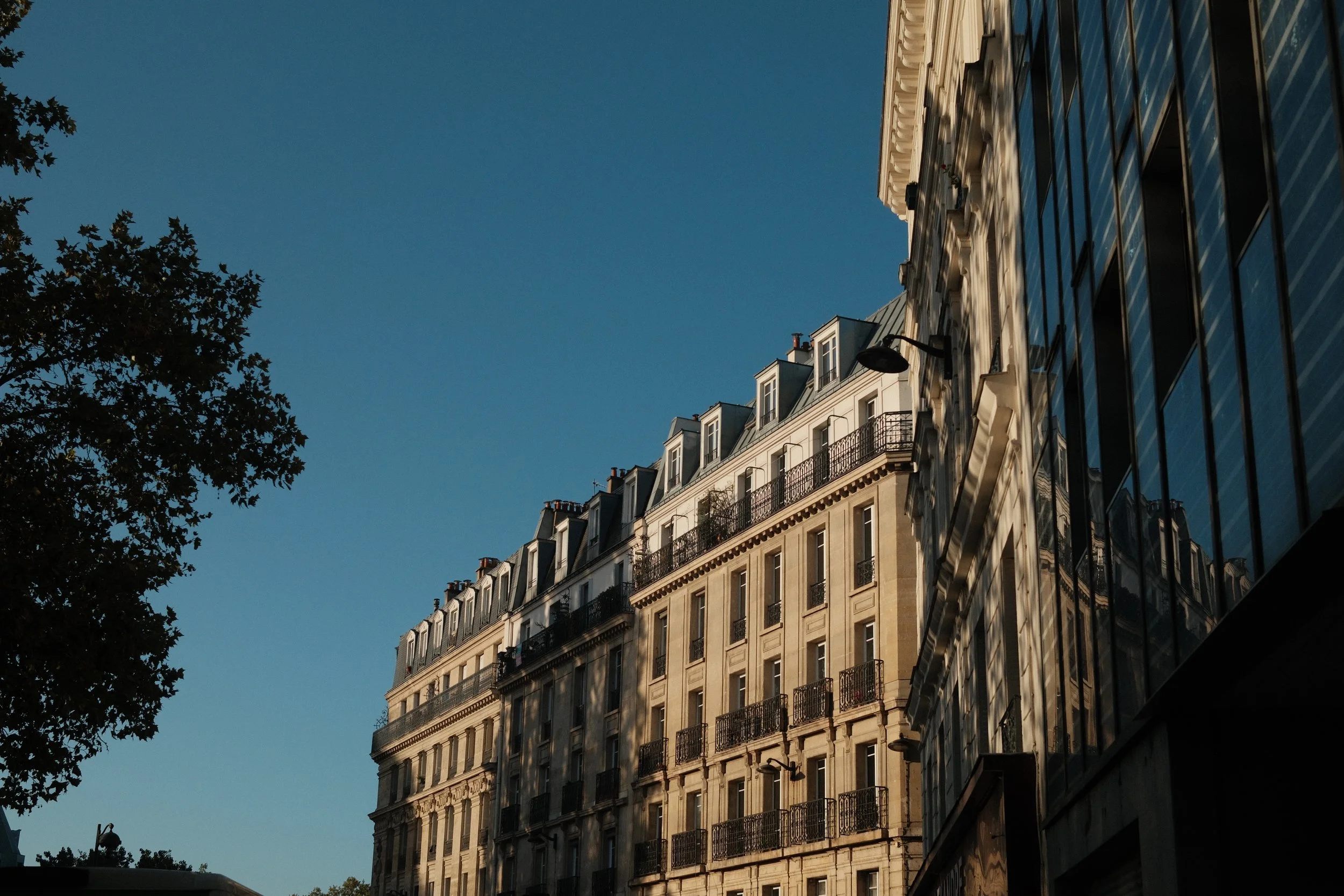 DSCF5281.JPG