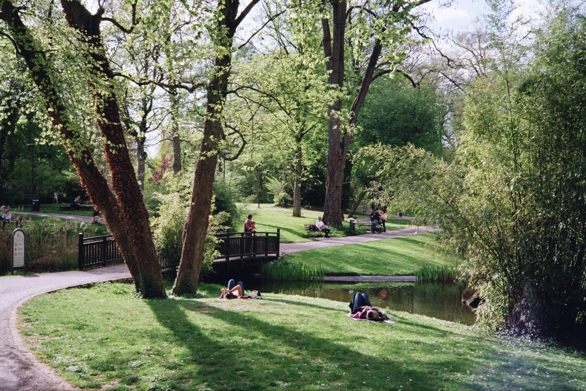 img0019.jpg