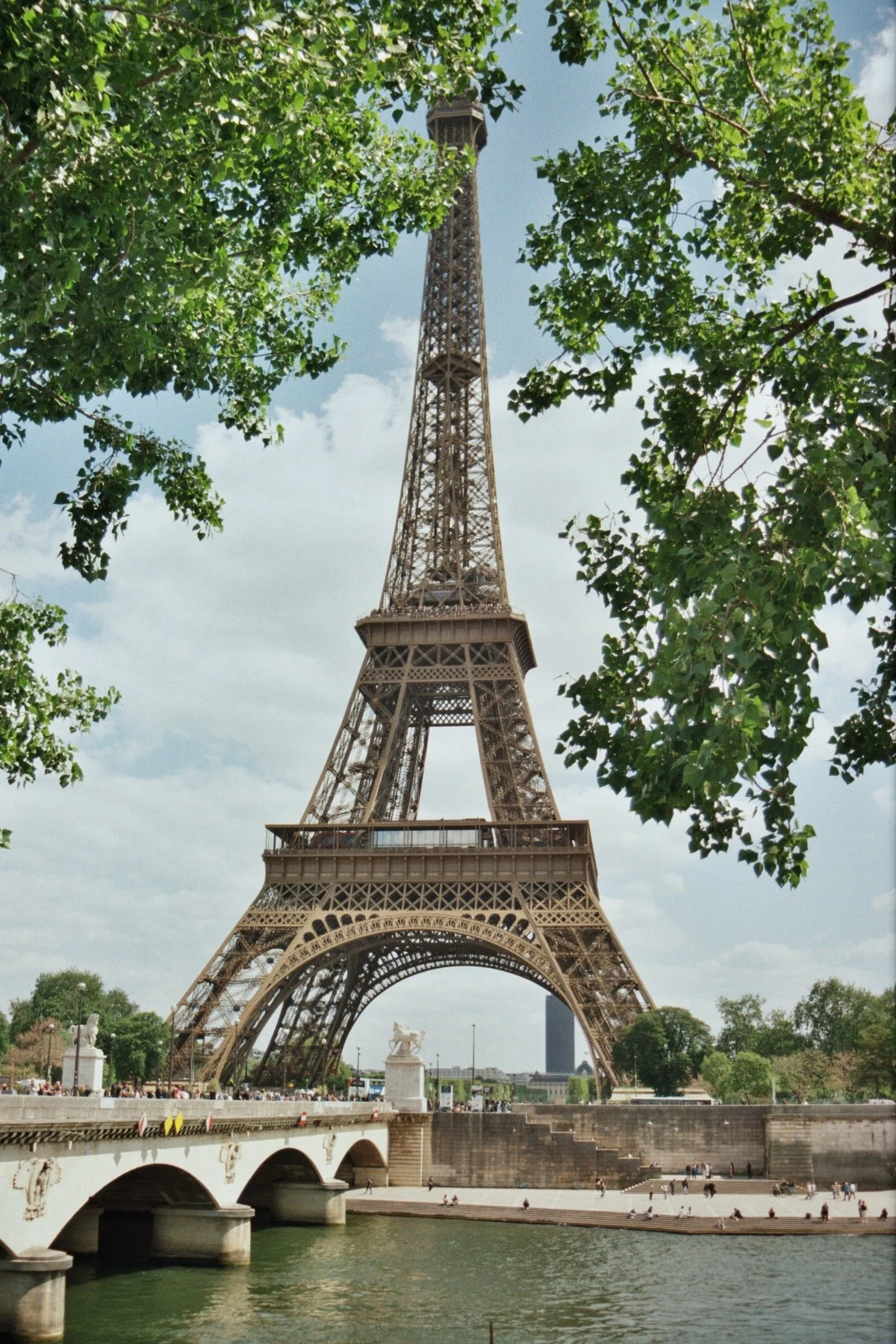 img0017.jpg