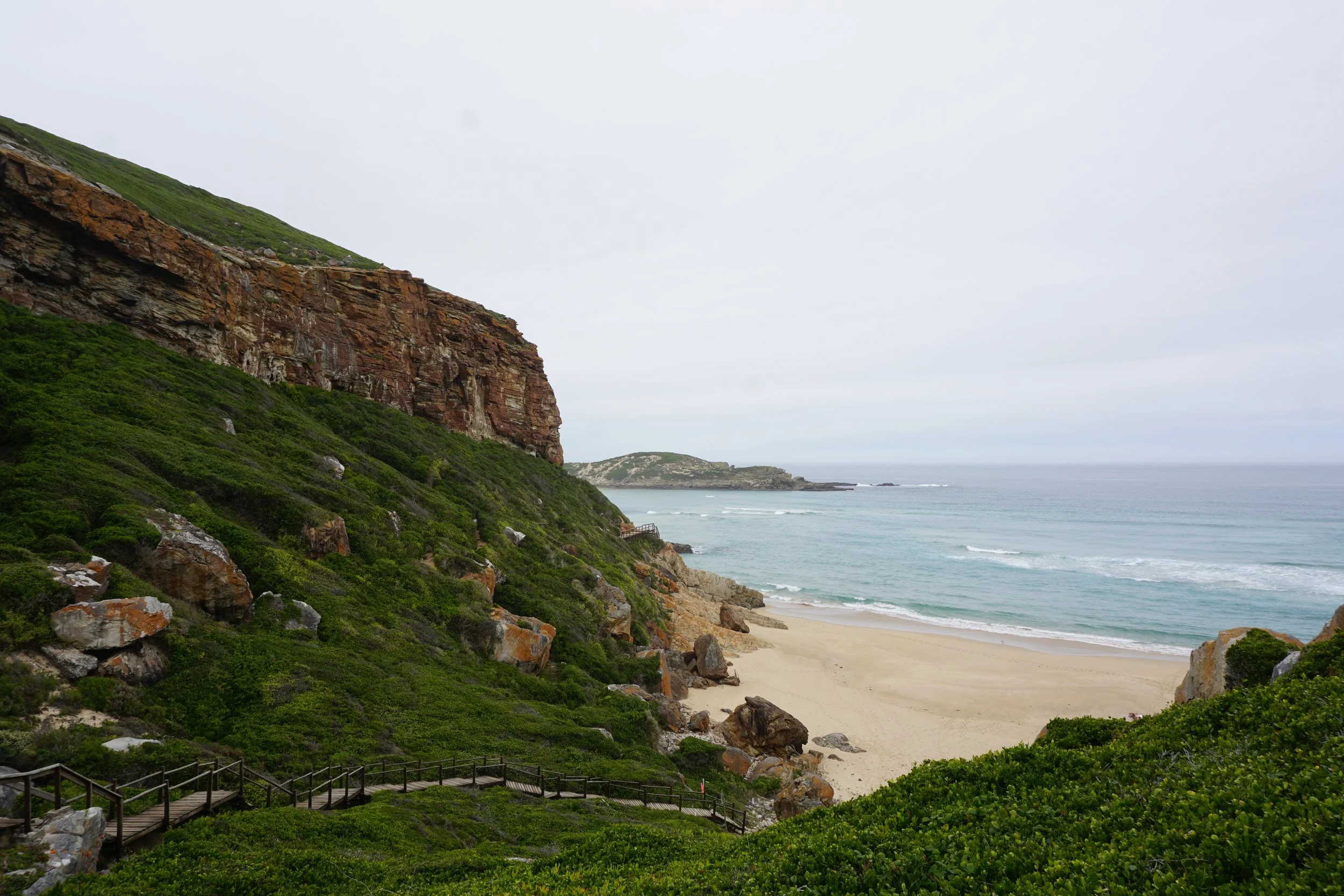 DSC02334.JPG