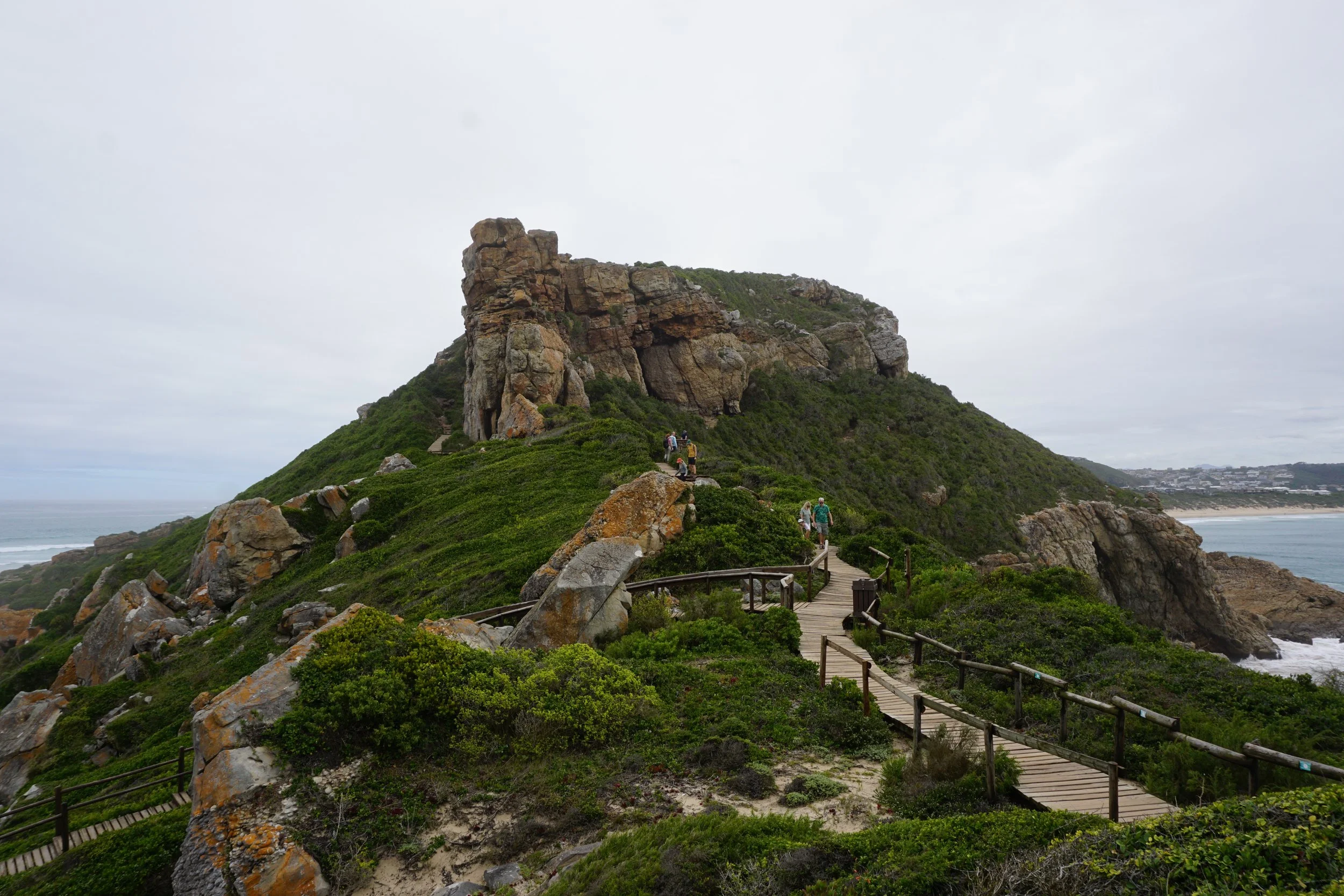 DSC02336.JPG