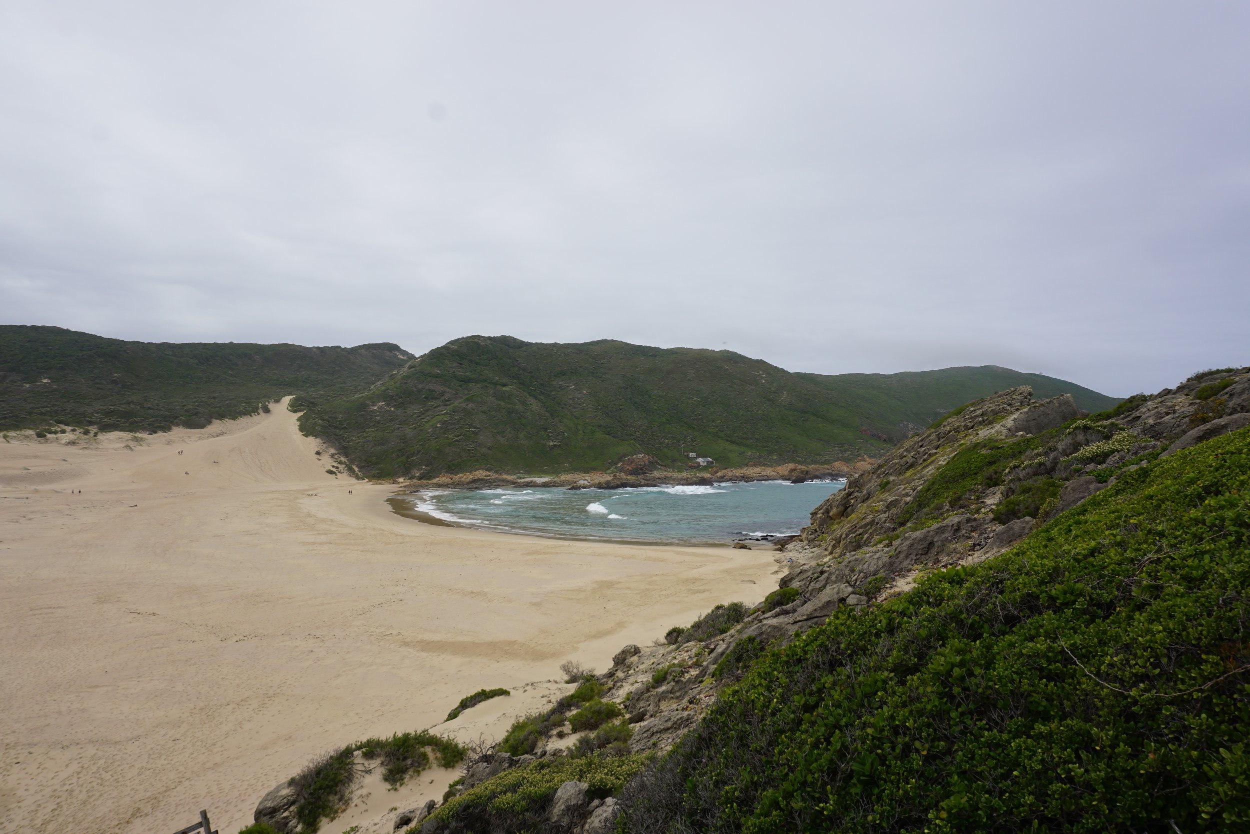 DSC02356.JPG