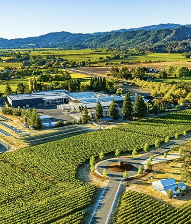 Aerial view of a lush vineyard with rows of grapevines, a circular landscaped area with pathways, and a modern building complex surrounded by greenery, with mountains in the background on a sunny day.