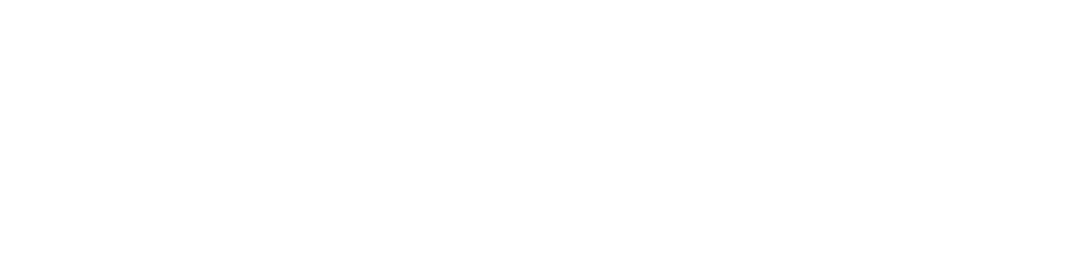 United Nations Foundation logo with text and laurel branch.