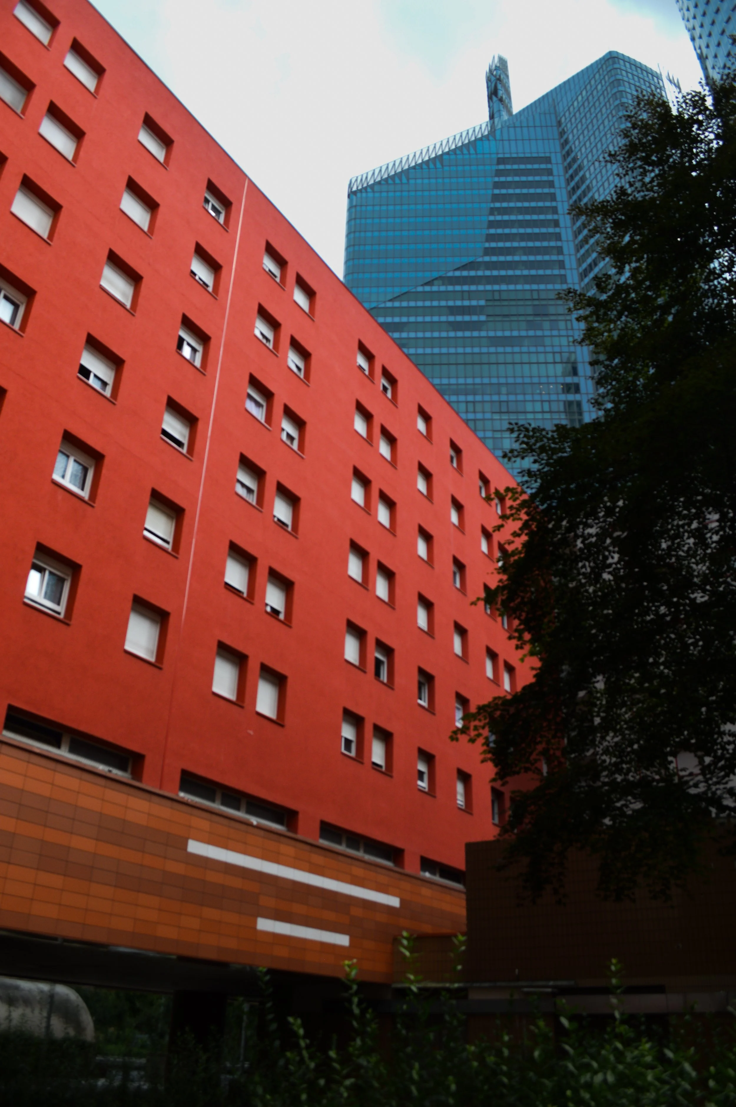 DSC_0626.jpg