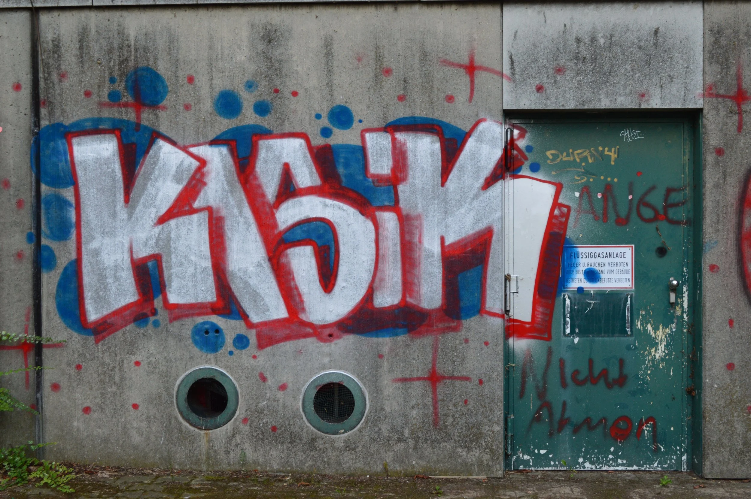 DSC_0803.JPG