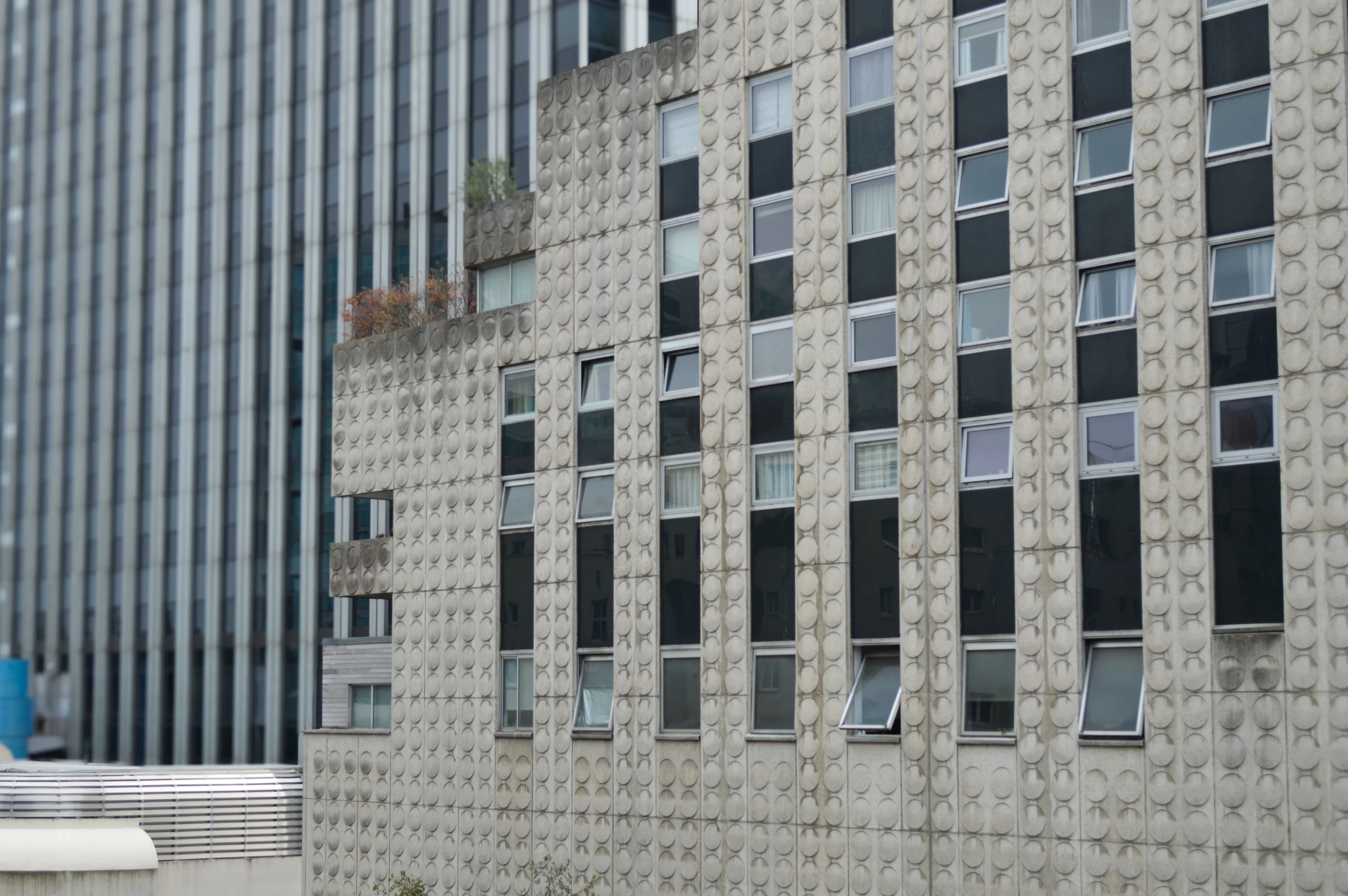 DSC_0619.jpg