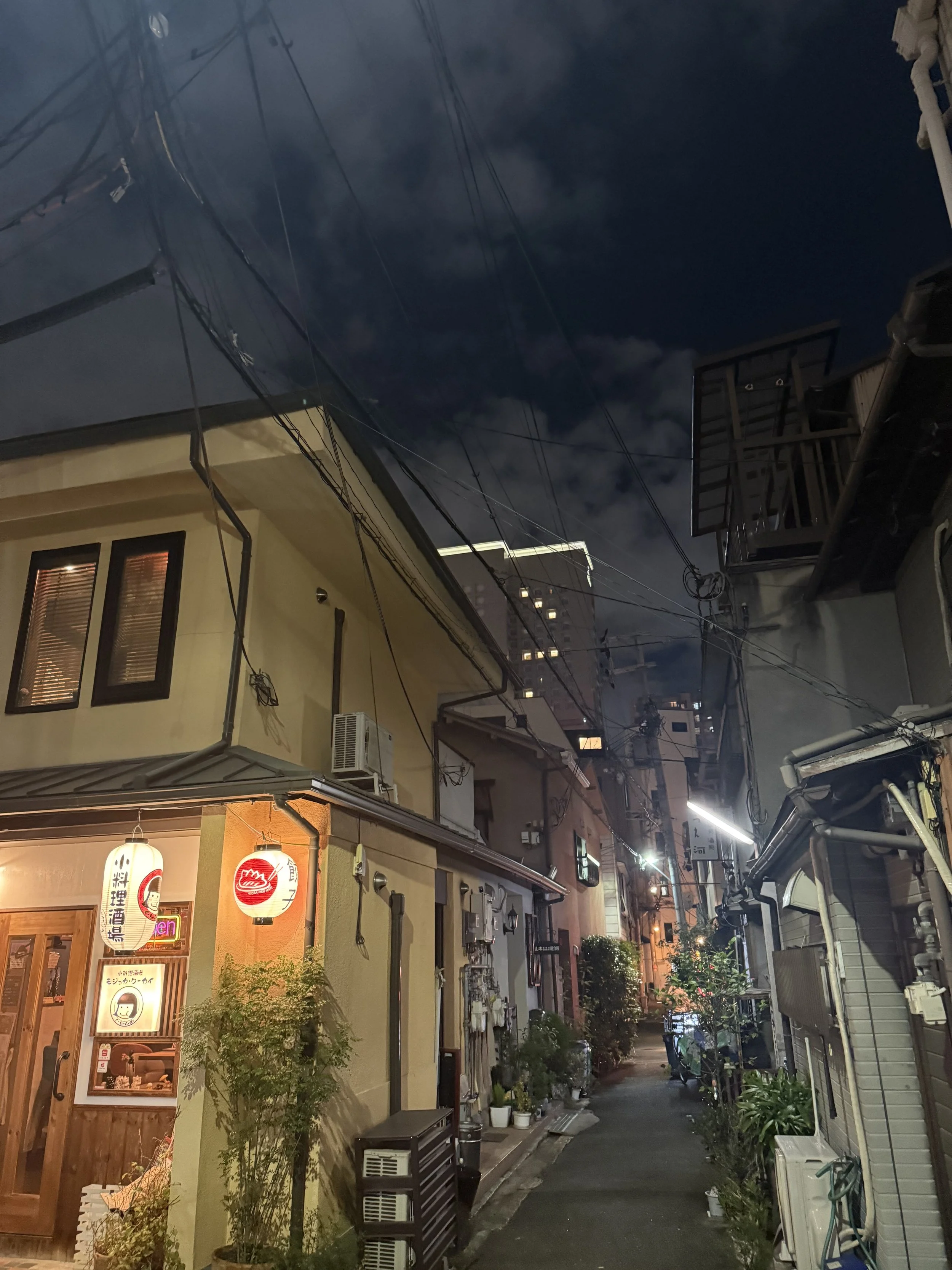 IMG_9331.jpeg