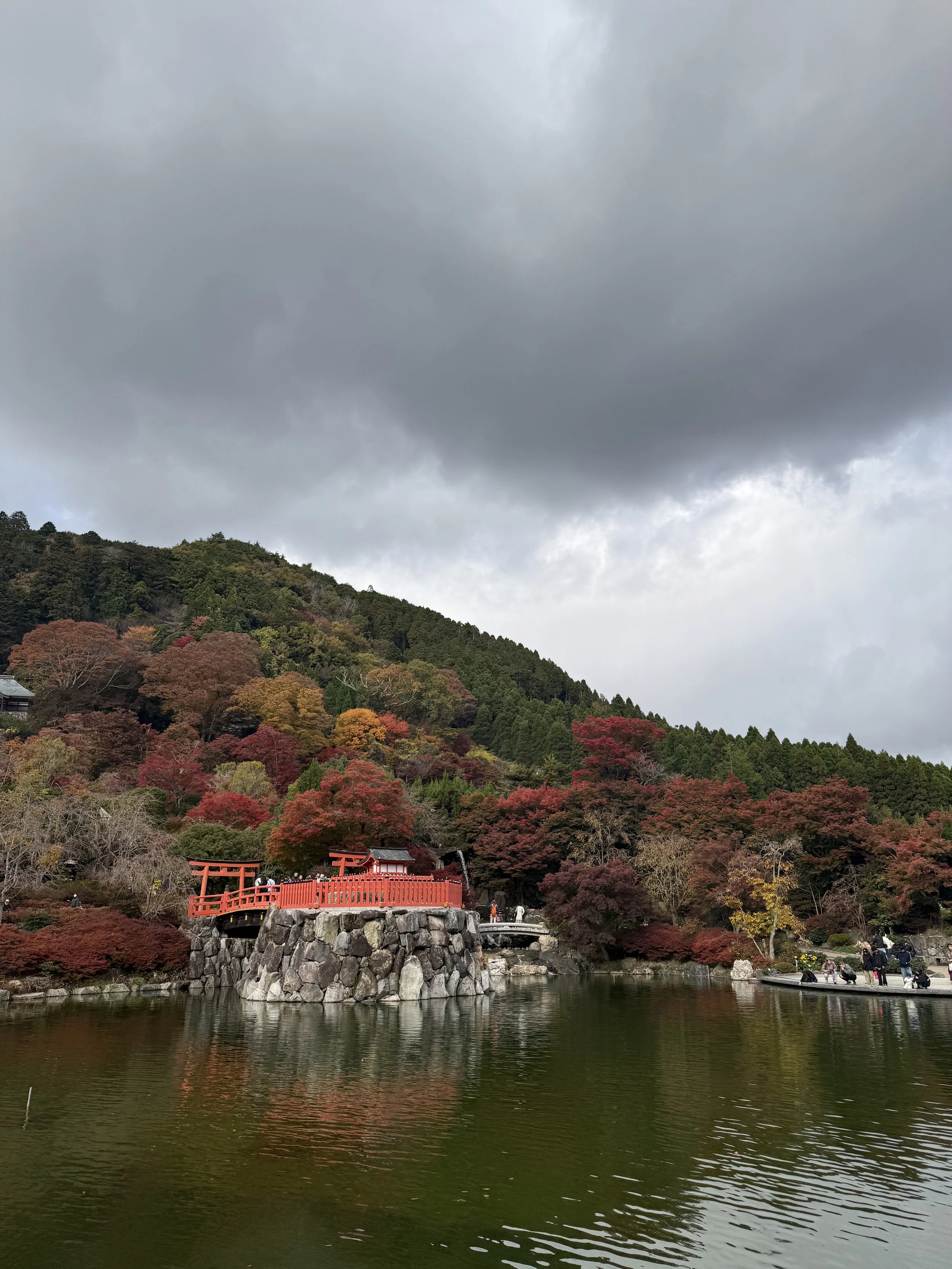 IMG_9157.jpeg