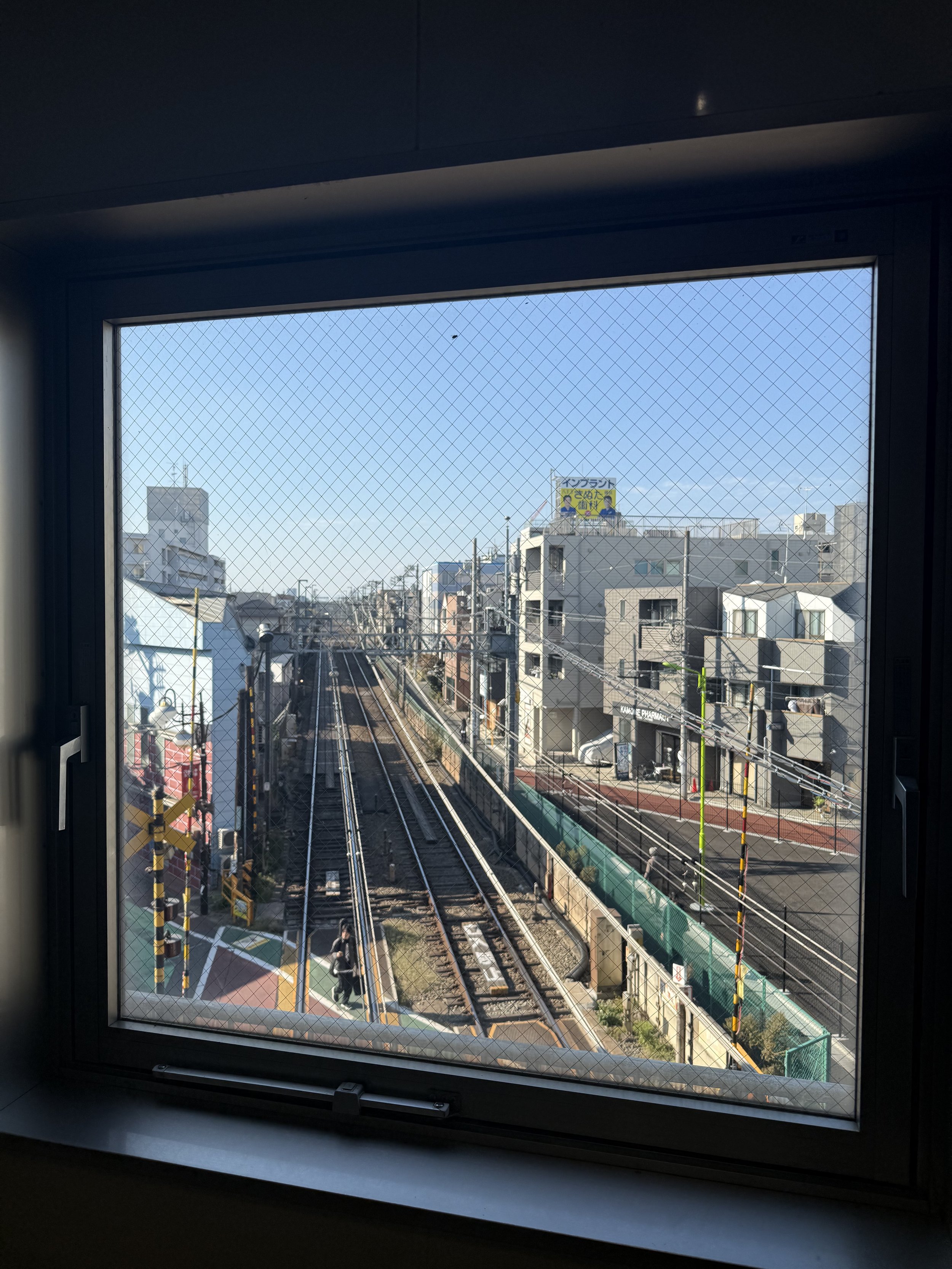 IMG_7890.jpeg