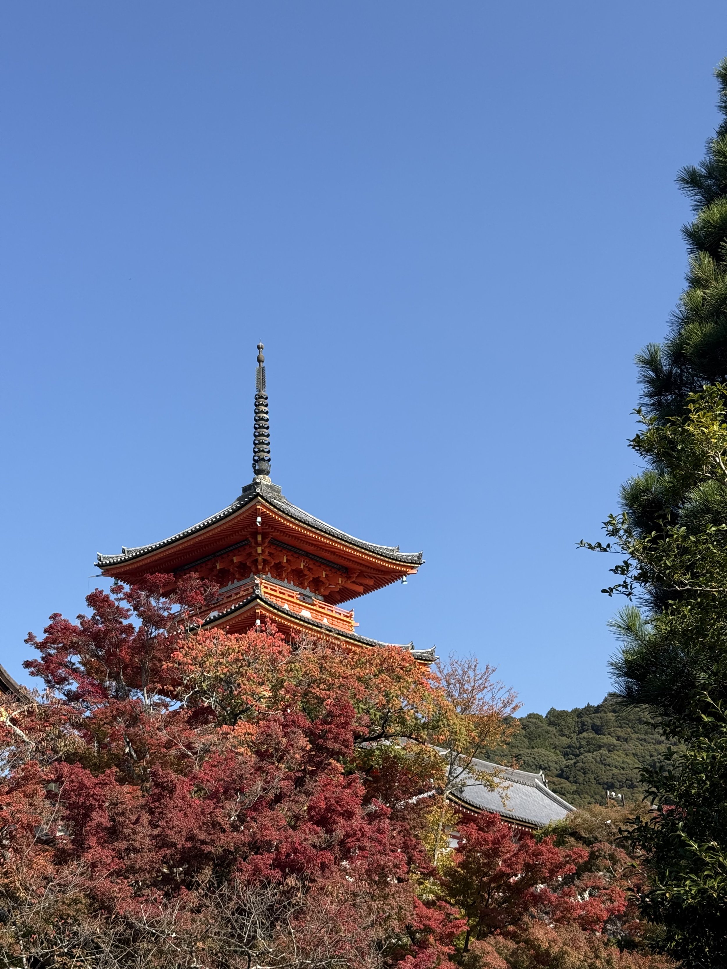 IMG_8708.jpeg