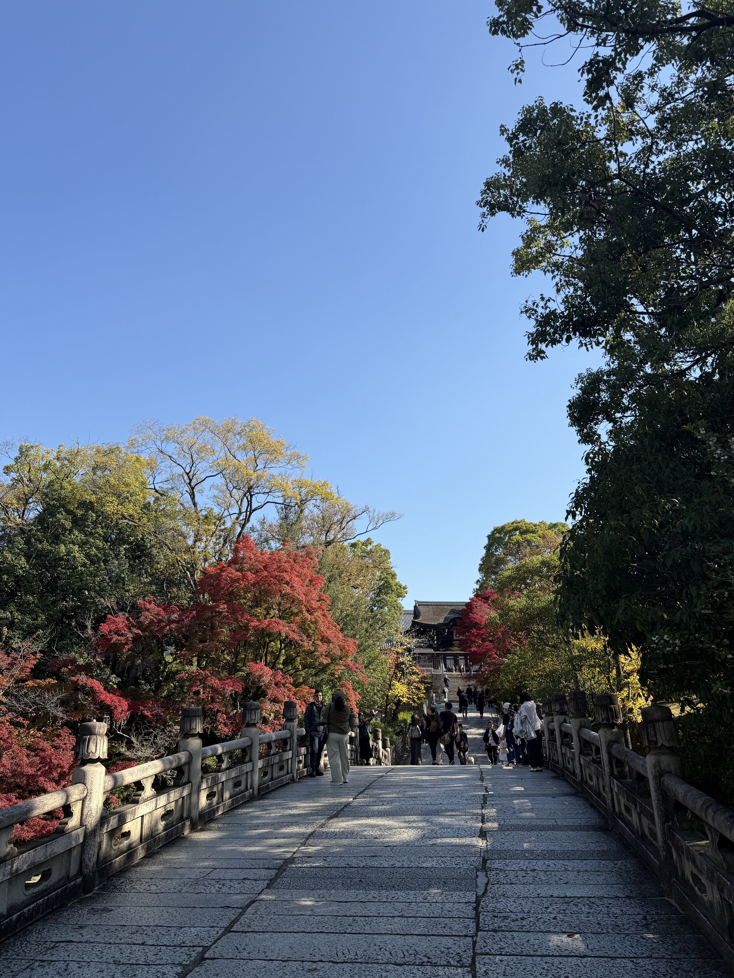 IMG_8678.jpeg