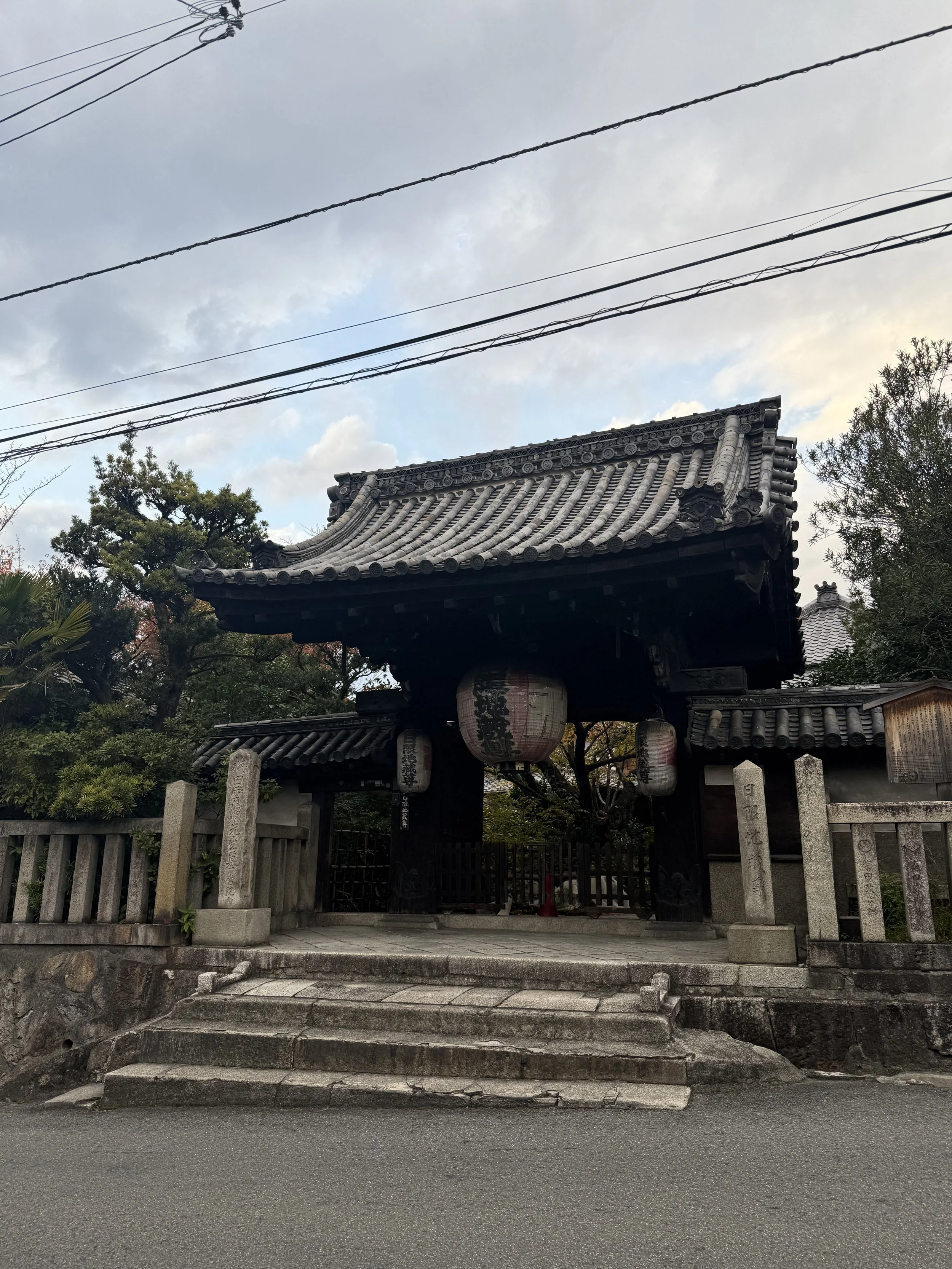 IMG_8770.jpeg