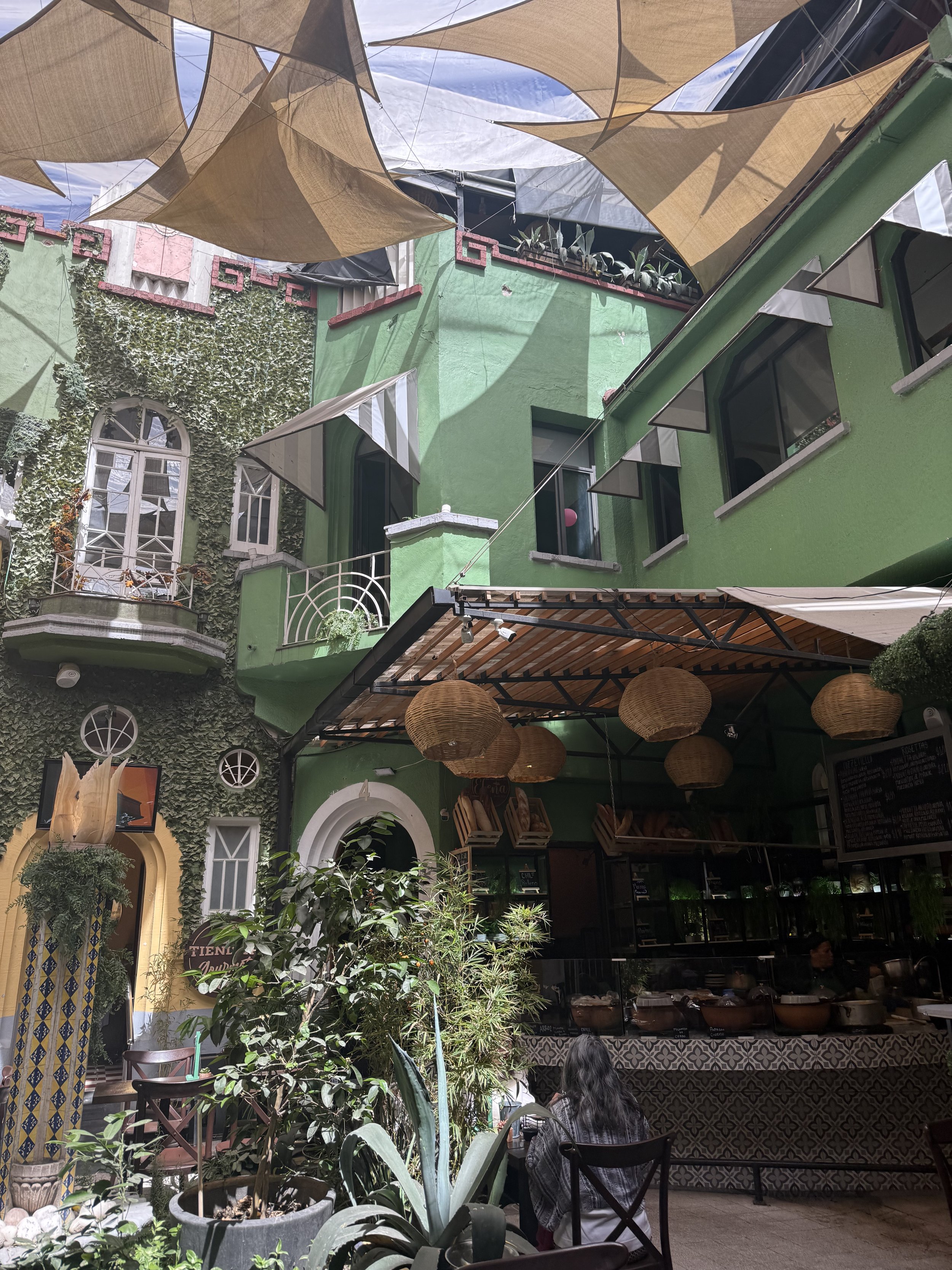IMG_3059.jpeg