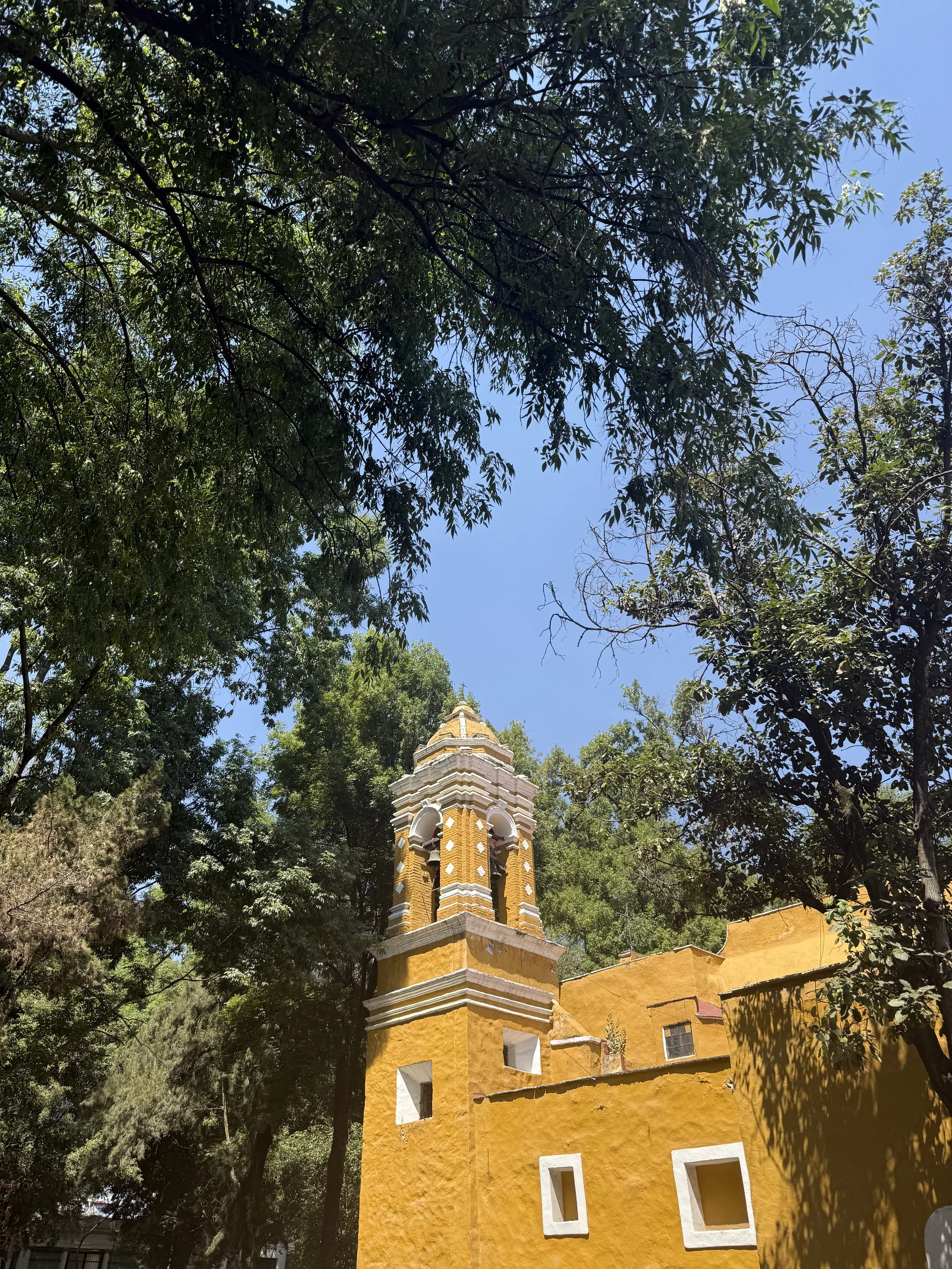 IMG_3163.jpeg