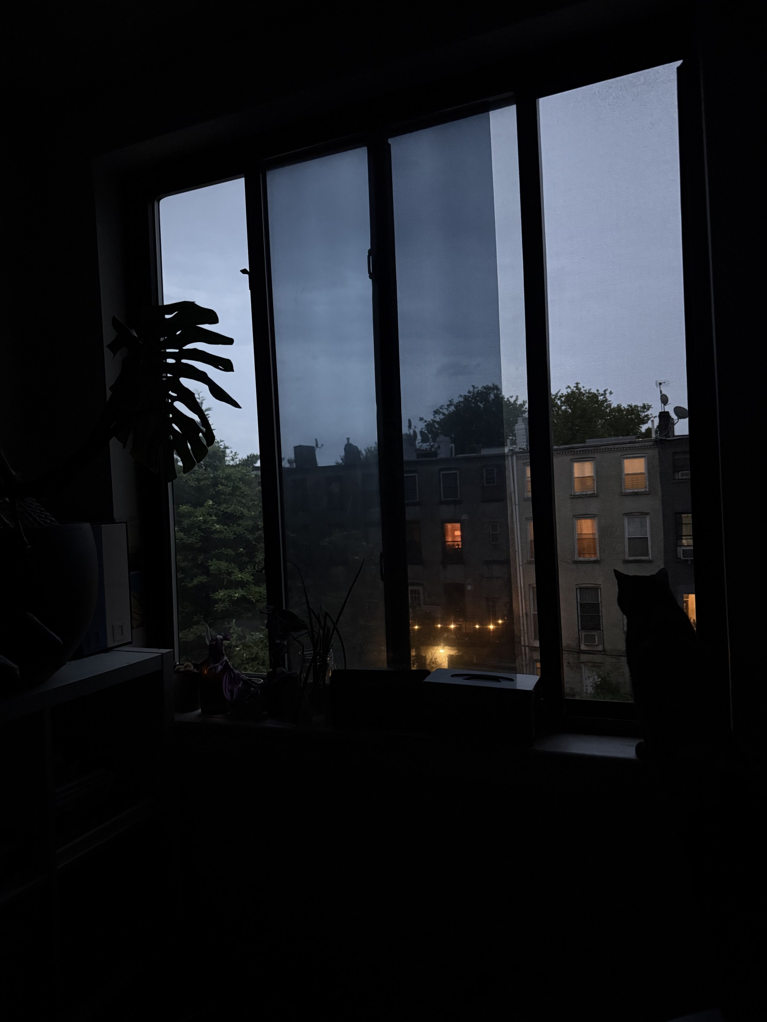 IMG_8806.jpeg