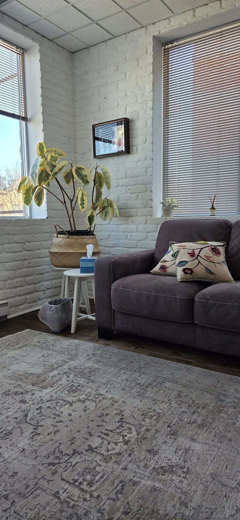 Living room corner with a gray sofa, floral pillows, a large potted plant on a white side table, a small framed art on a white brick wall, two windows with blinds, a small potted plant and reed diffuser on the windowsill, and a patterned area rug on a hardwood floor.