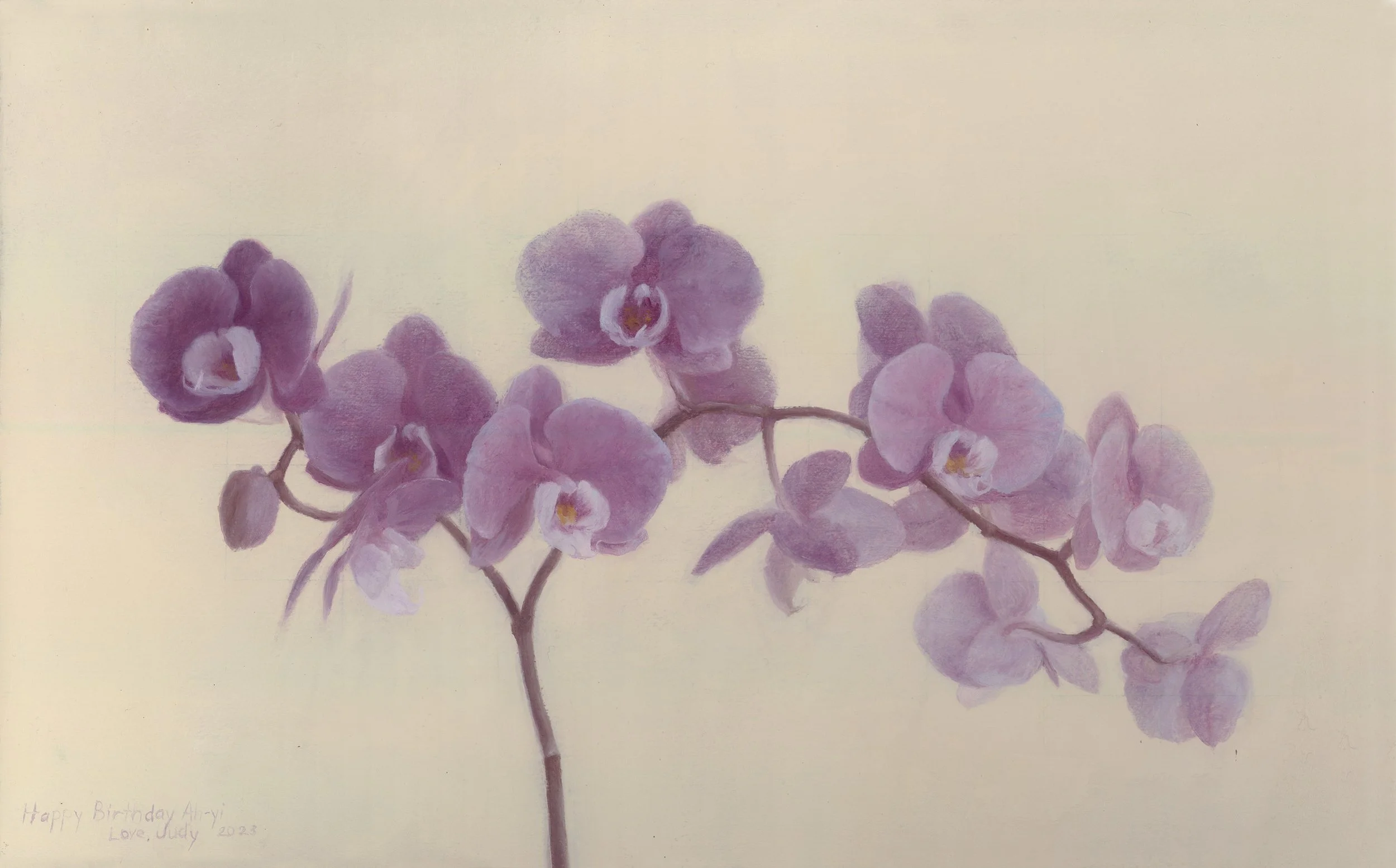 Orchids for Ah-yi