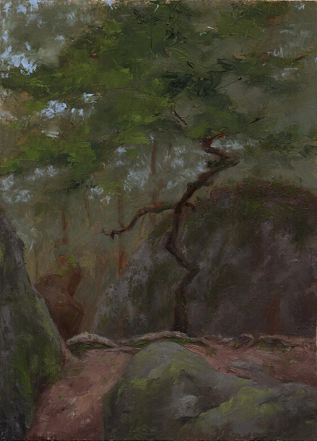 Twisted Trunk, Fontainebleau
7 x 5"
oil on panel
2014