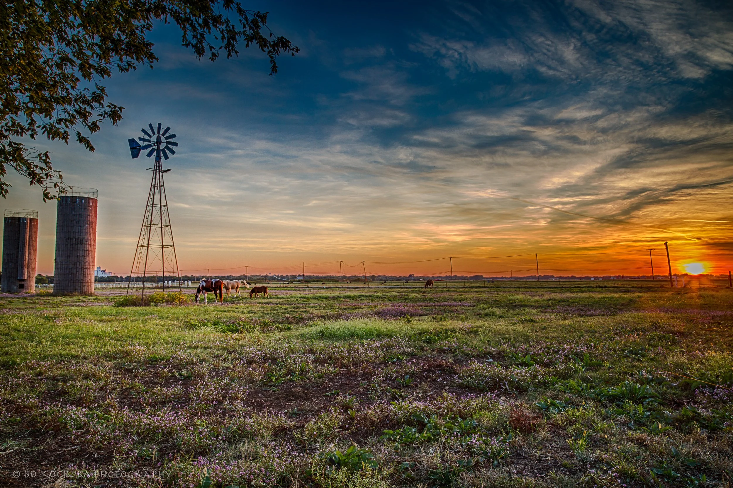 Horses grazing in an Oklahoma pasture at sunset, with a windmill, farm silos, and open fields beneath a colorful evening sky.