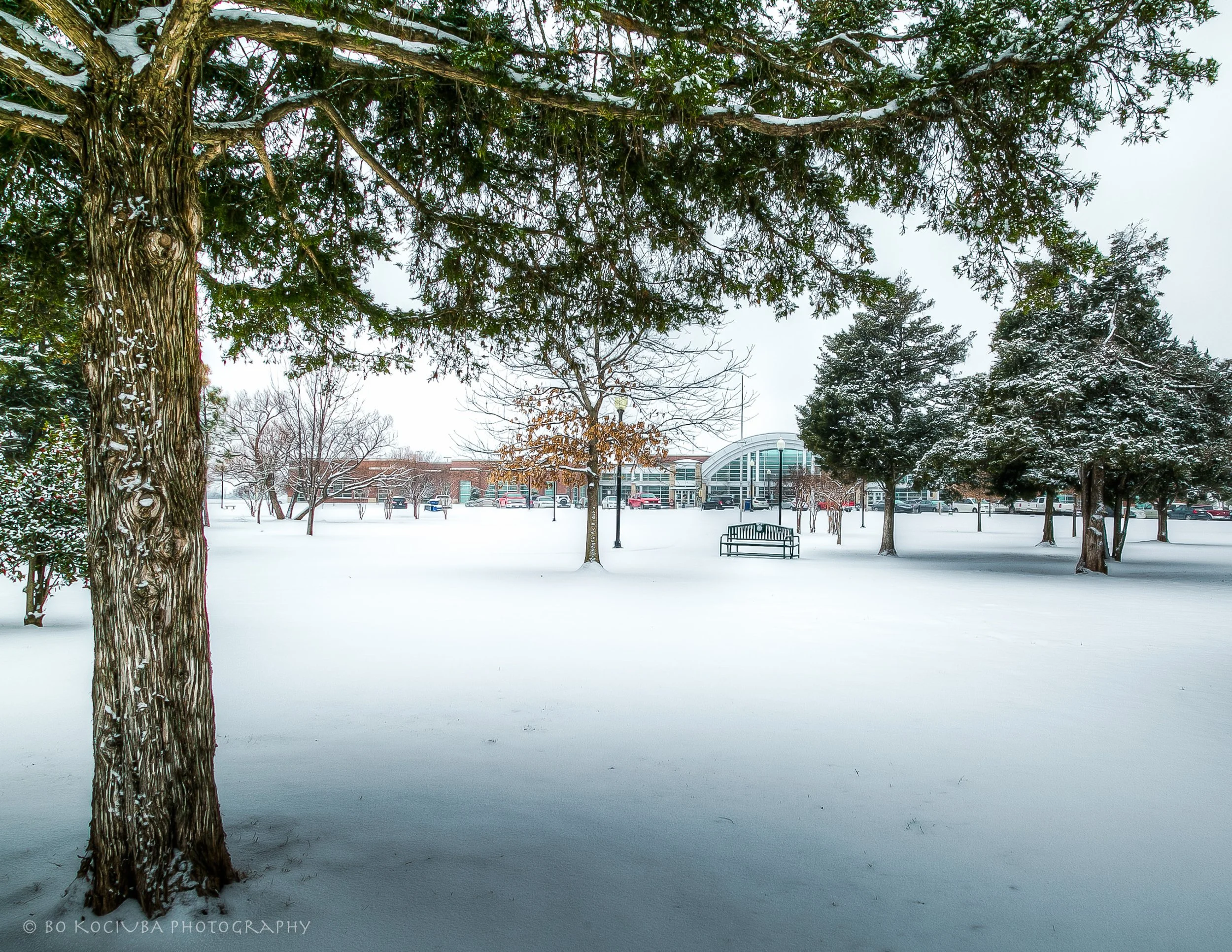 Snow-covered park in Mustang, Oklahoma, with a large tree in the foreground and additional trees and park buildings in the distance.